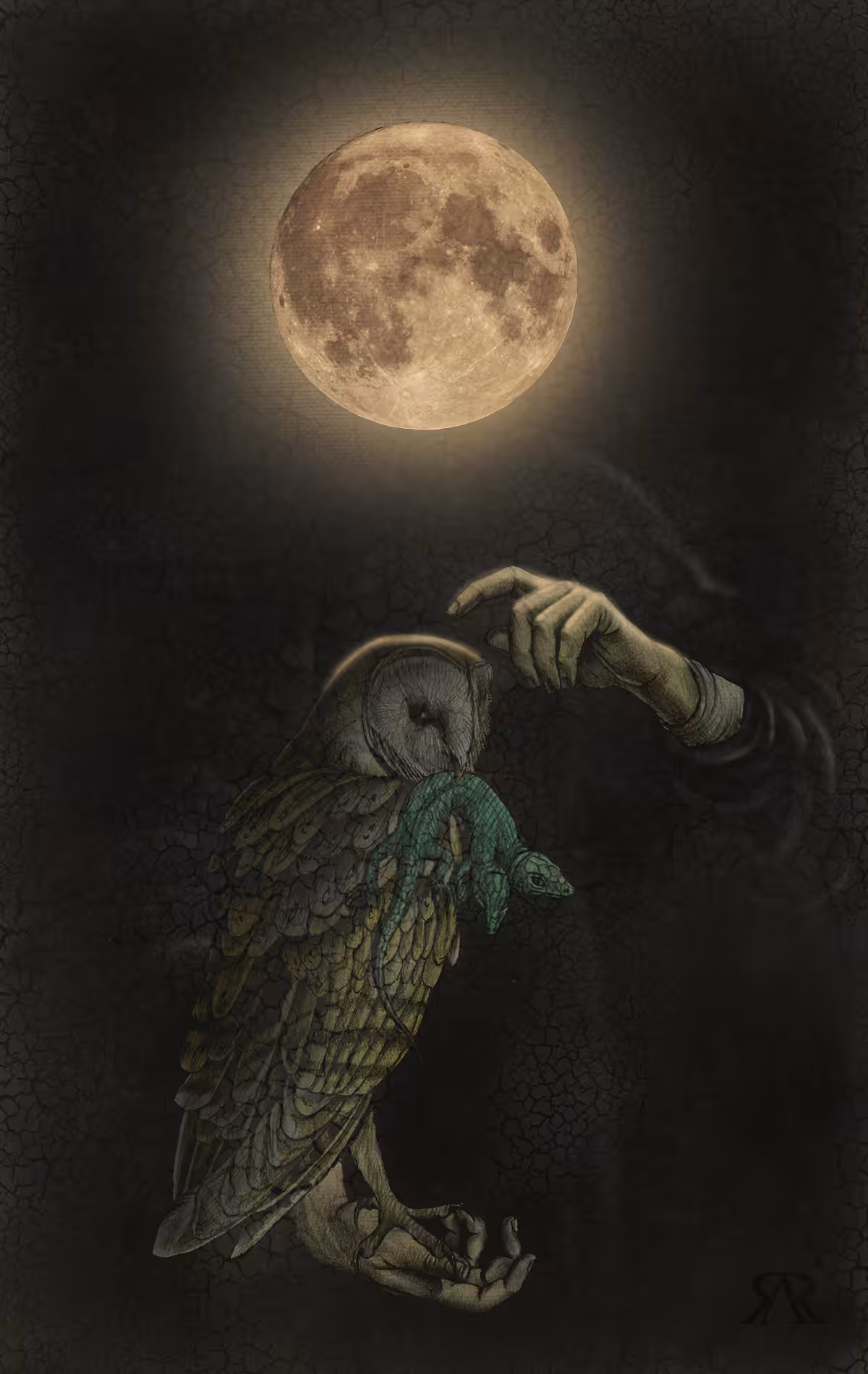 Night Huntress