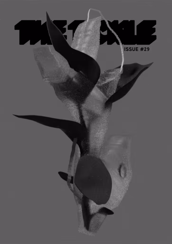 THE TICKLE - Issue #29