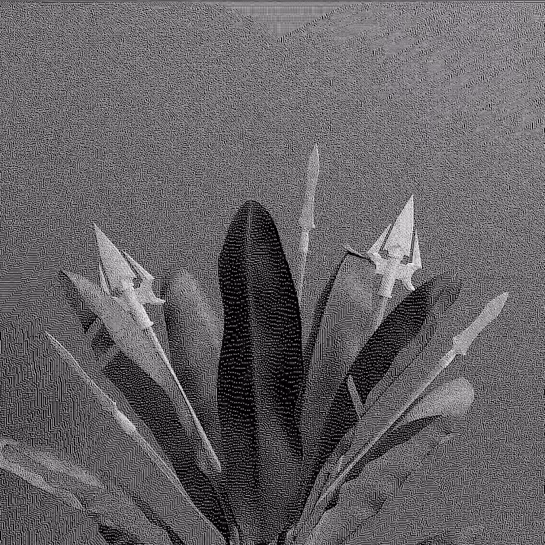 _\|/_