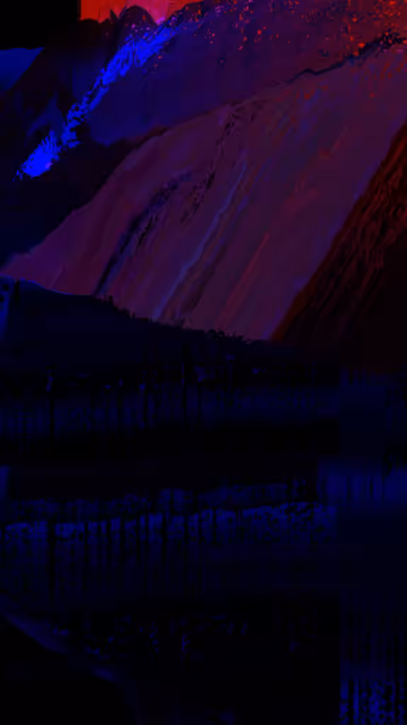 corruption²³