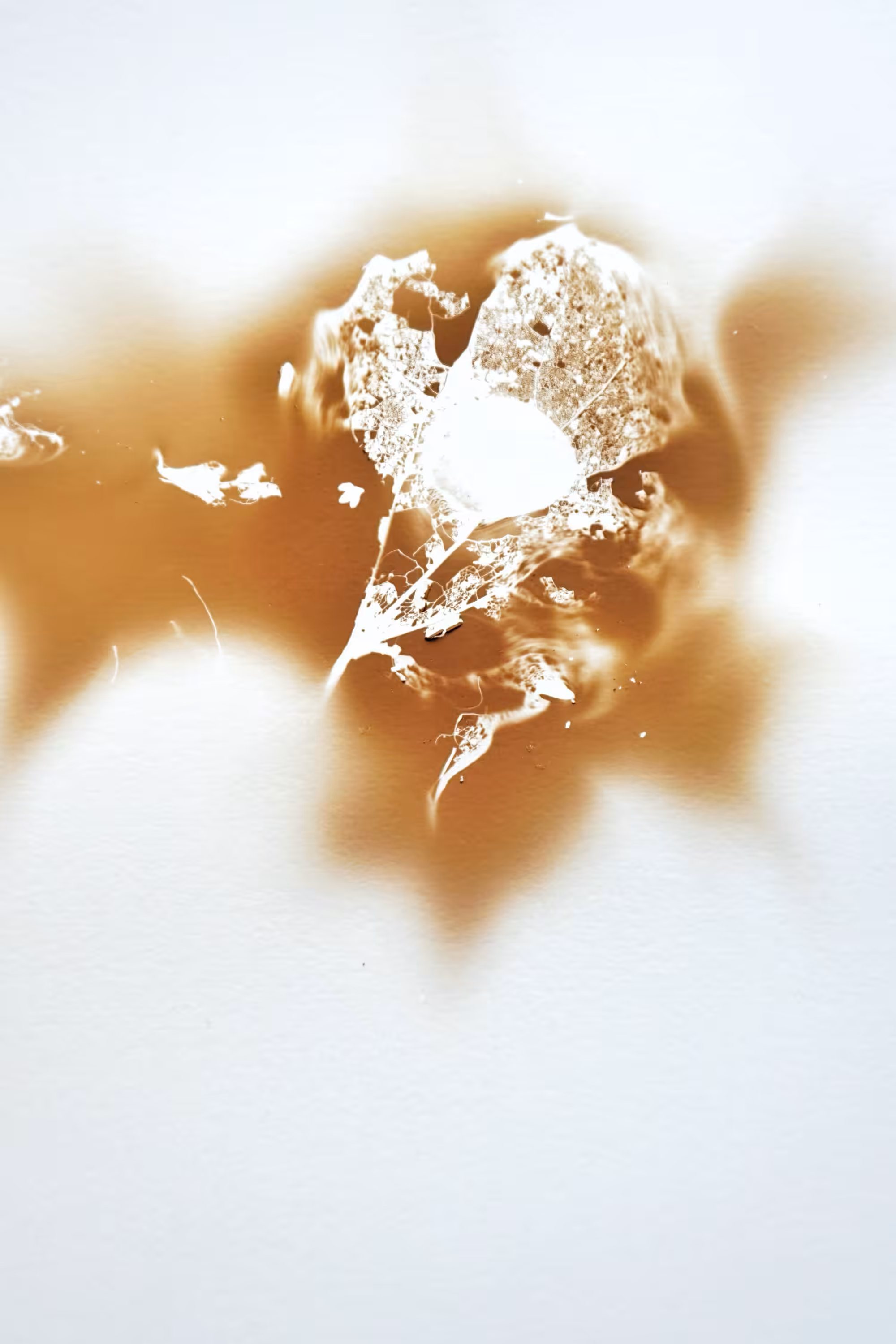 Fingerprint 10