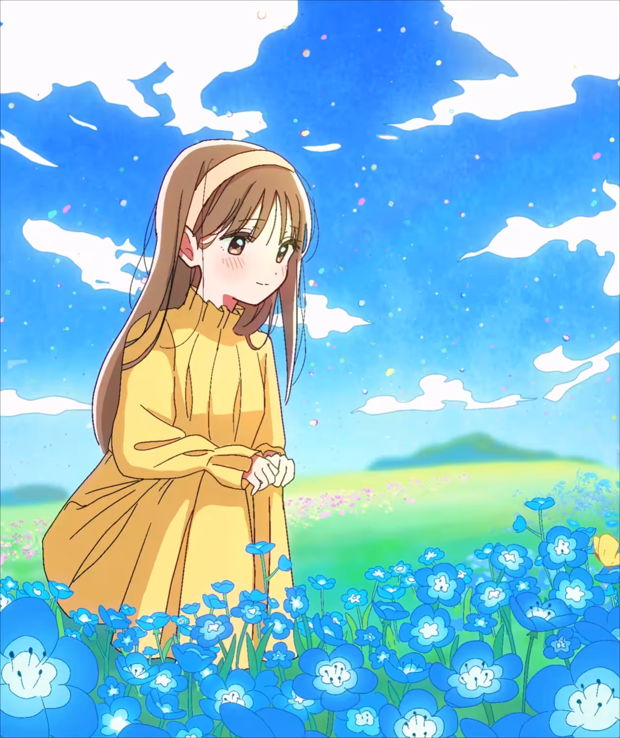 Blue nemophila field