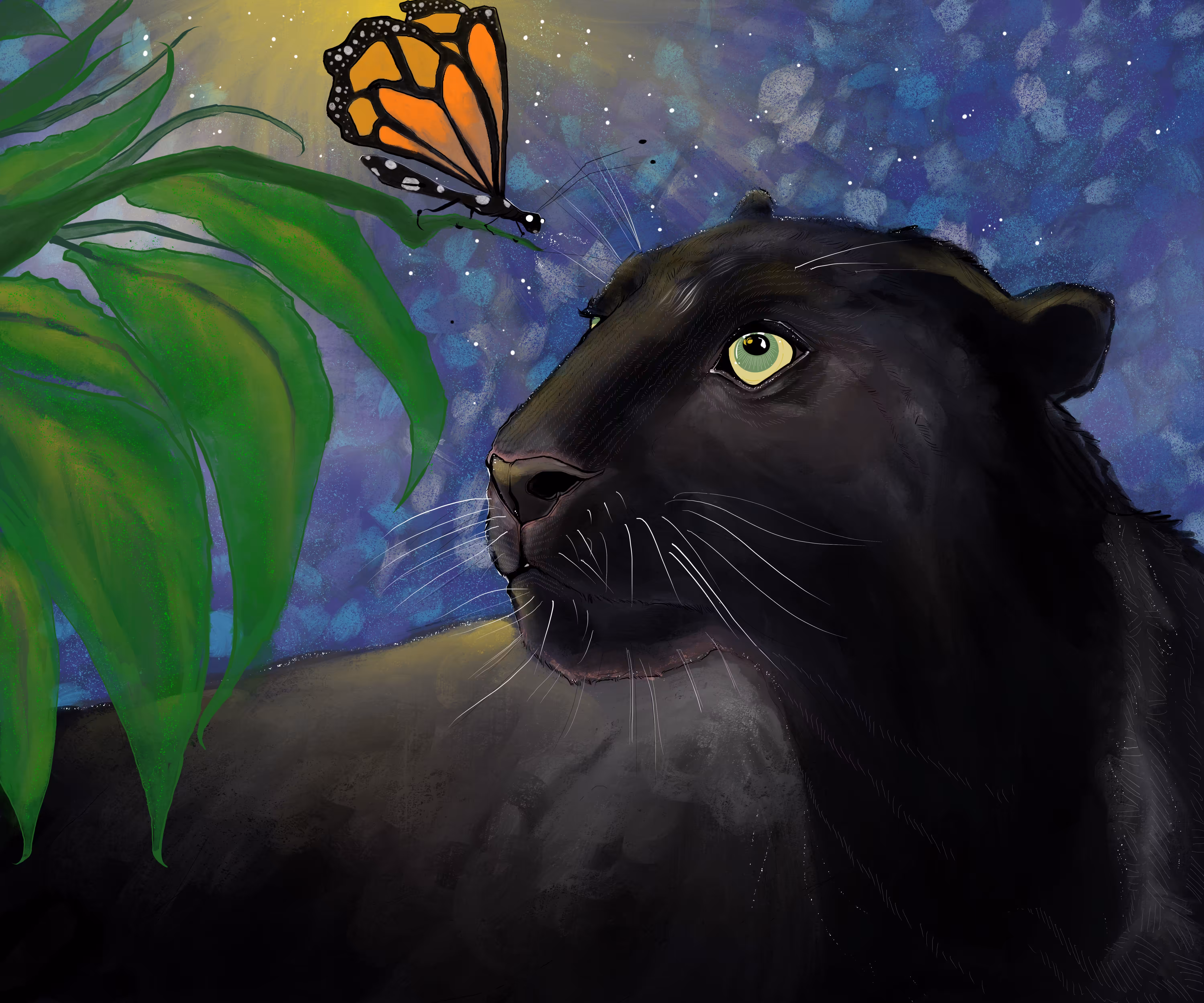 Night Cat