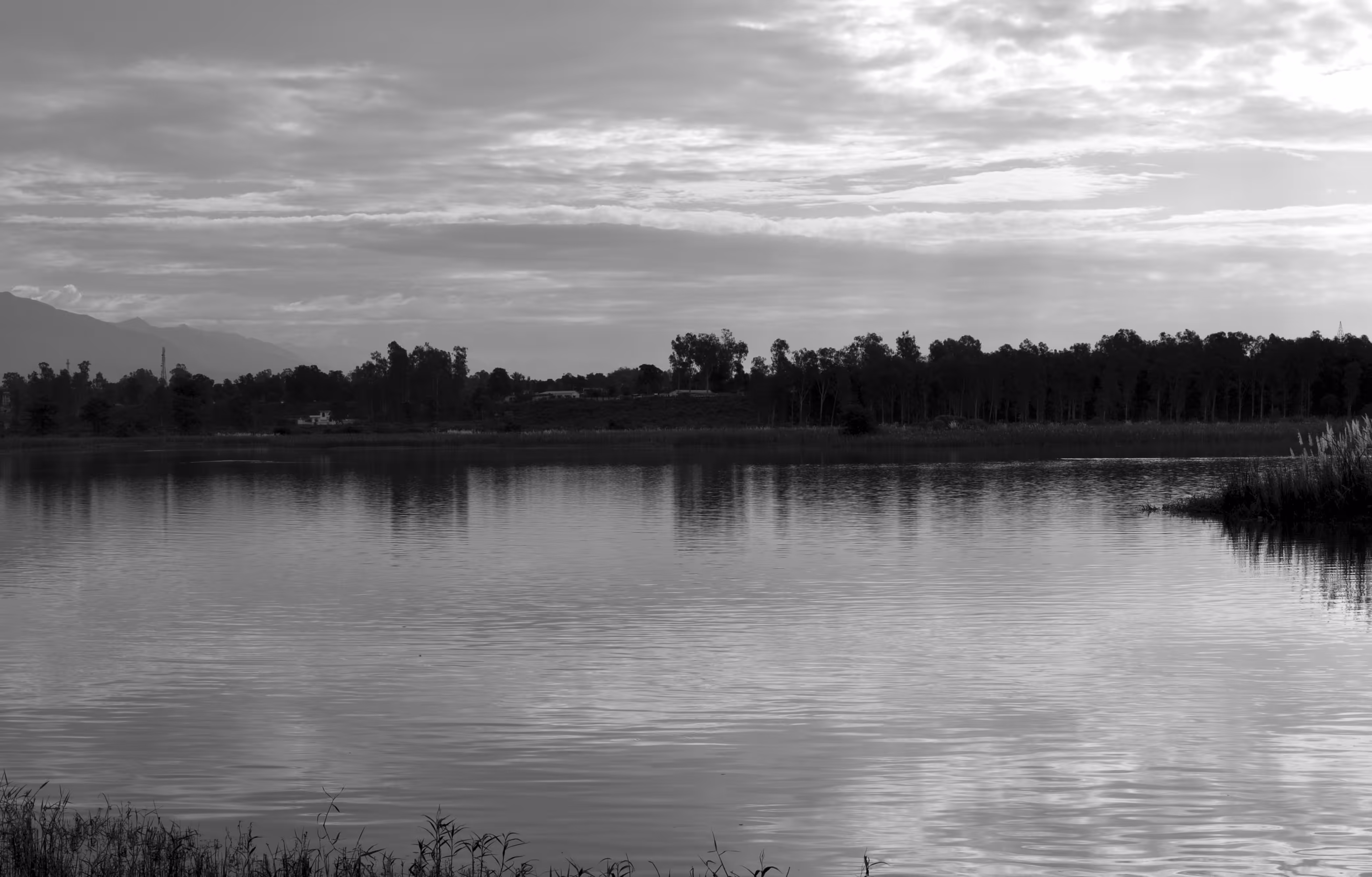 Bliss of nature #3