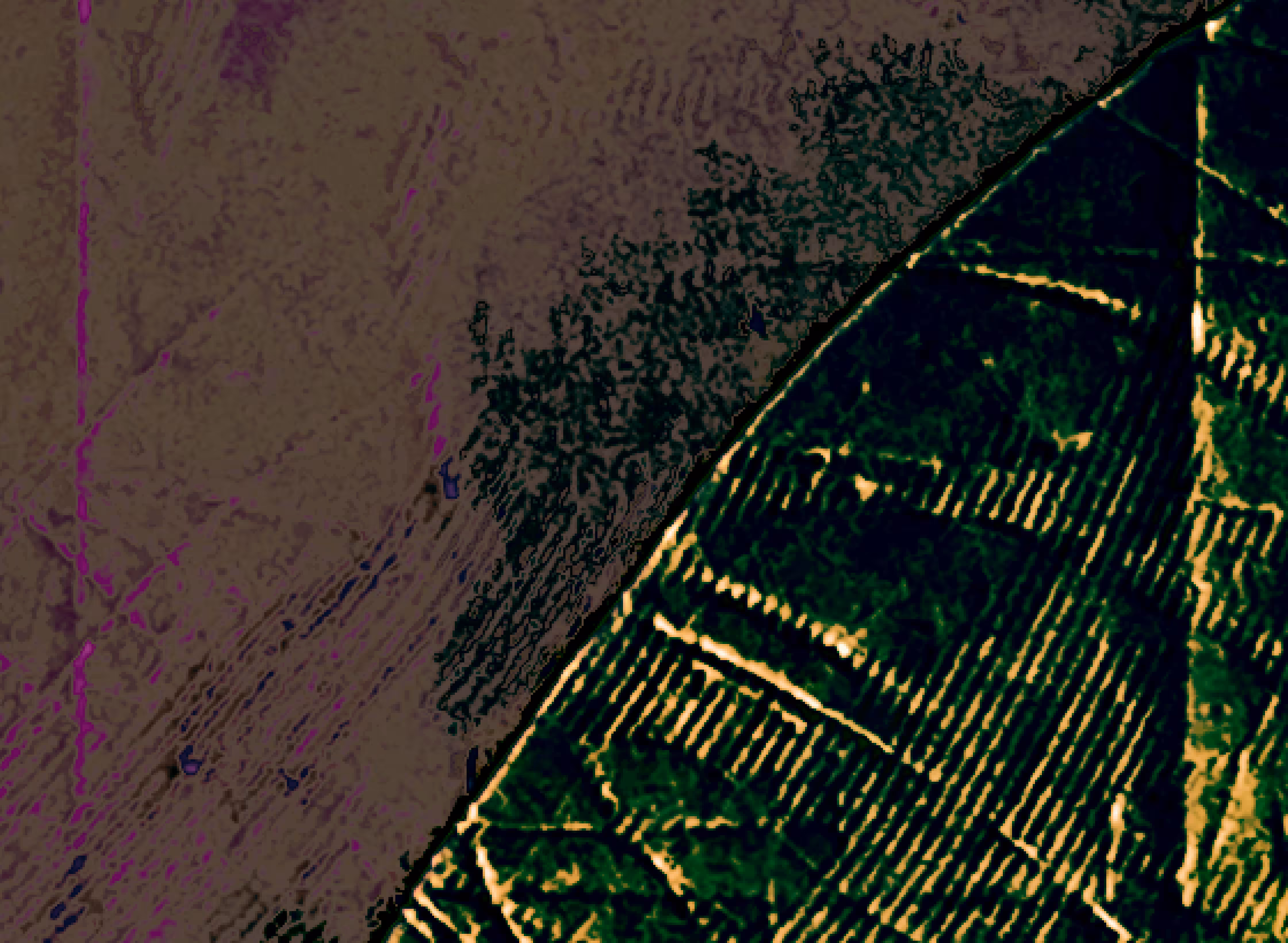 whirled territory #10