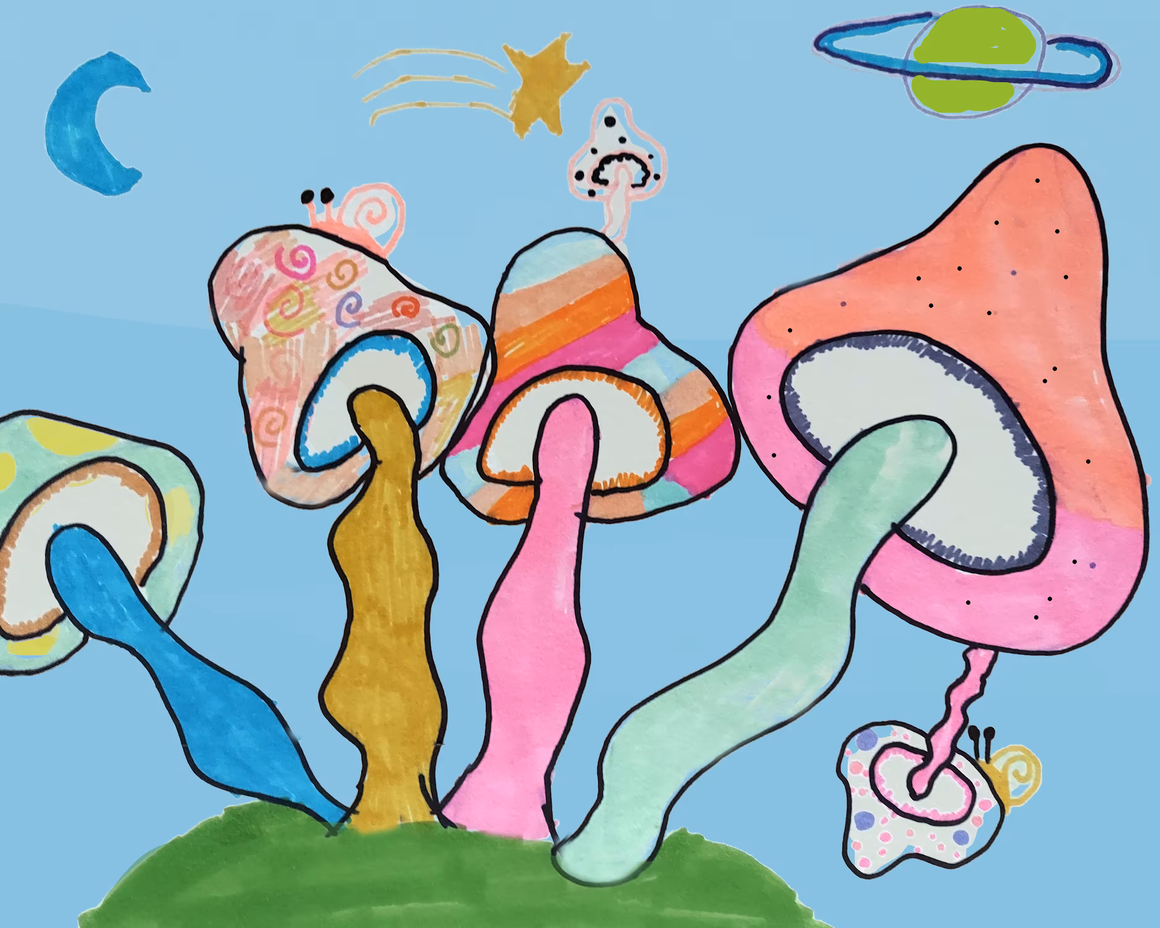 Special Mushrooms