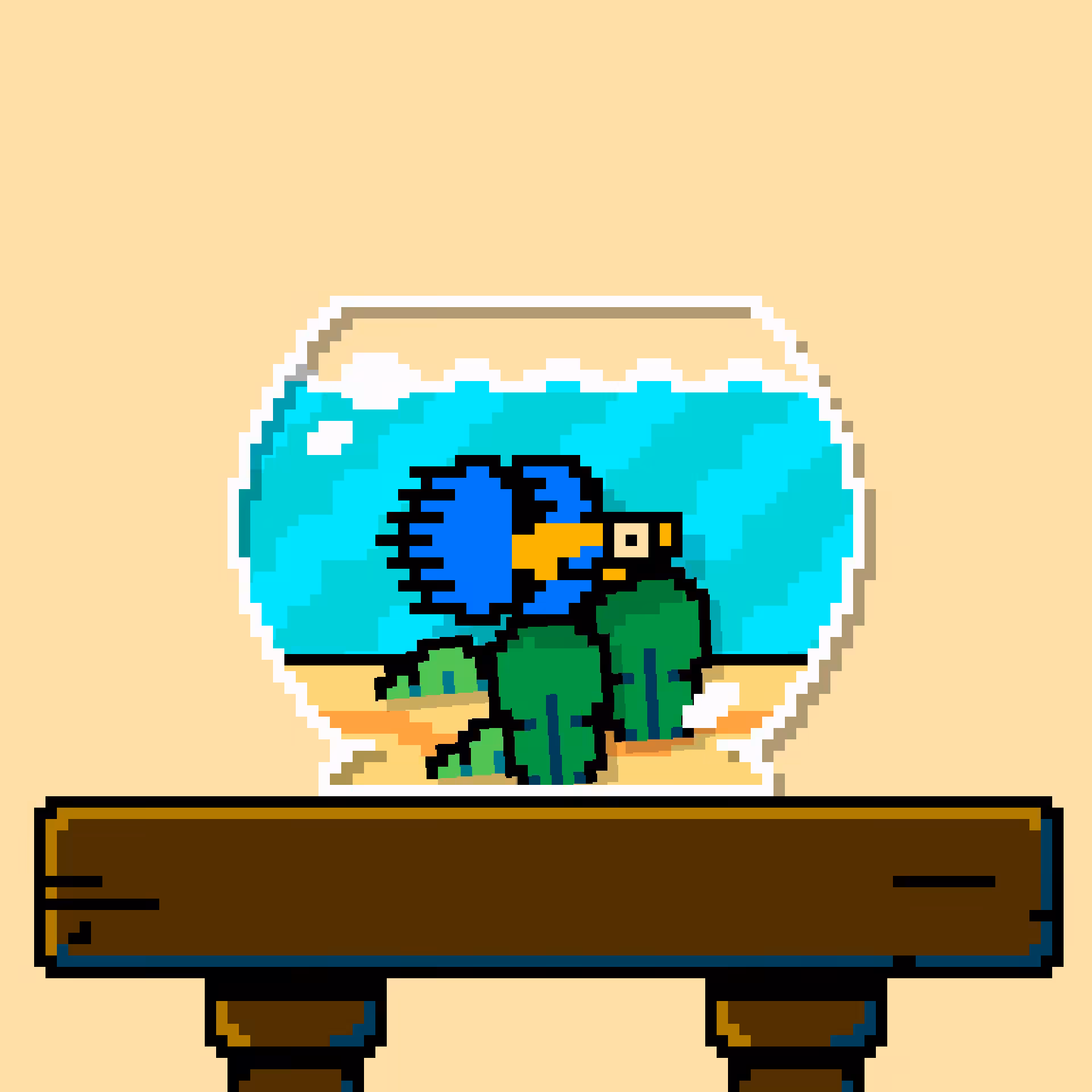 betta fish #691