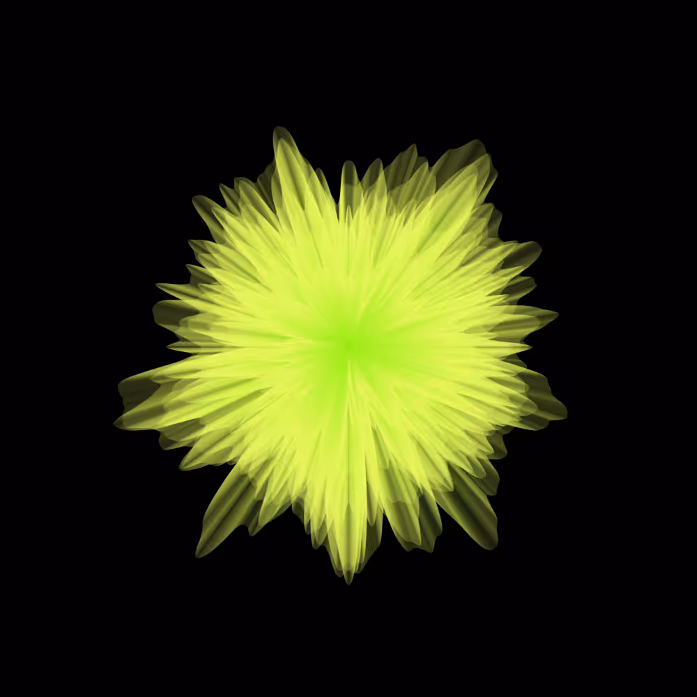 Blossoms #14