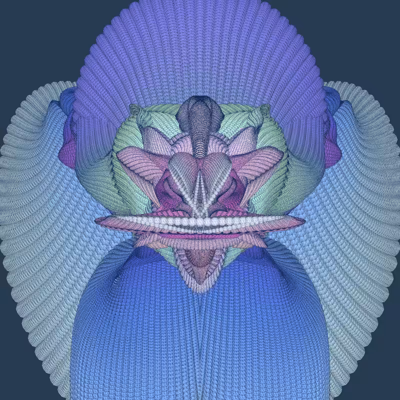 Zaratan #291