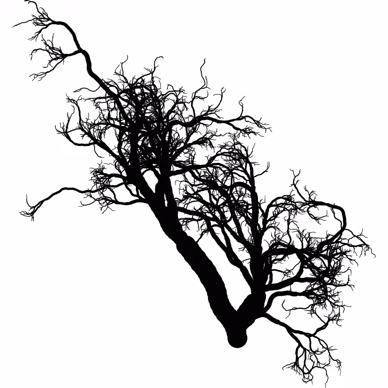 Tree 01 #95