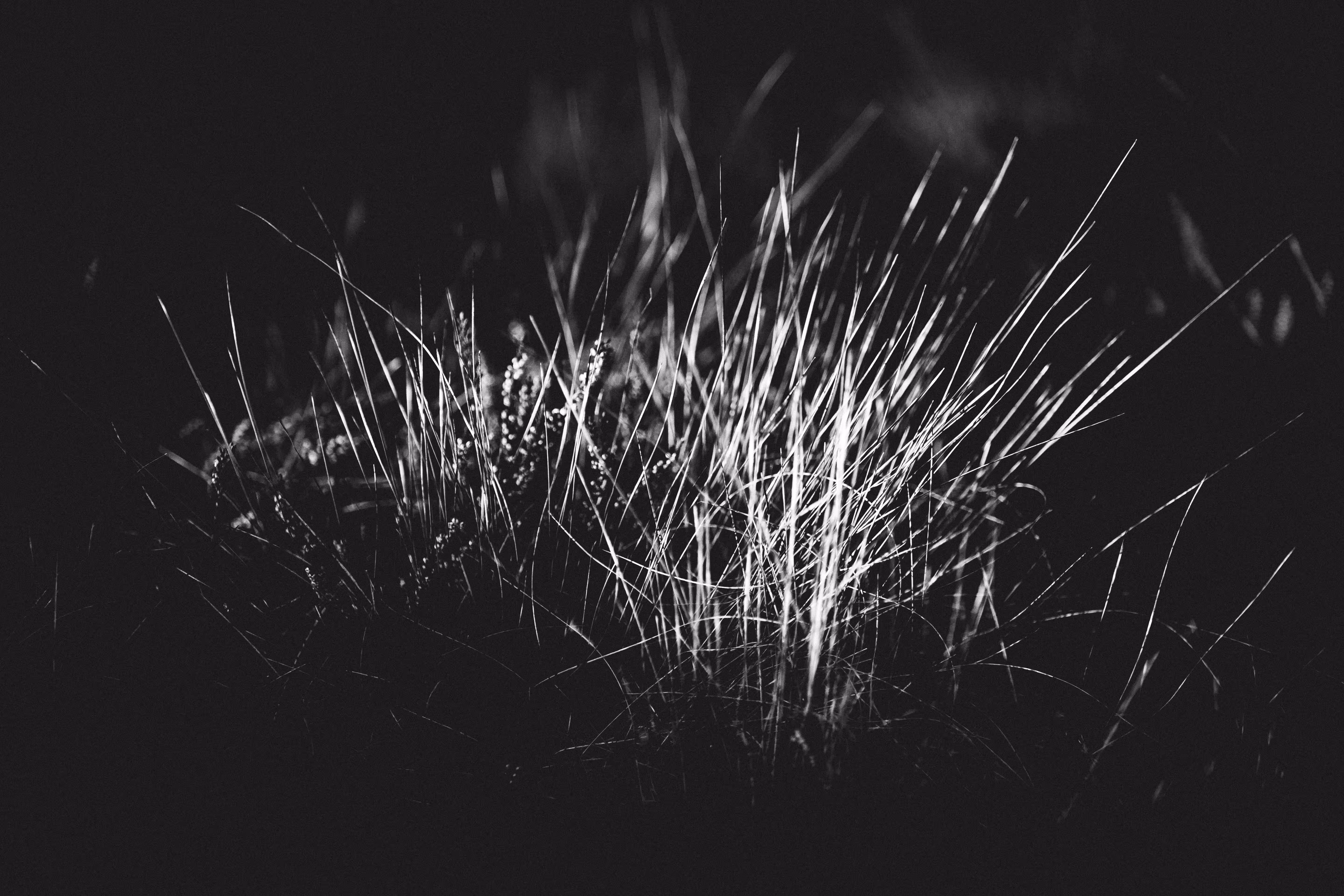 World in Black'n'White 3