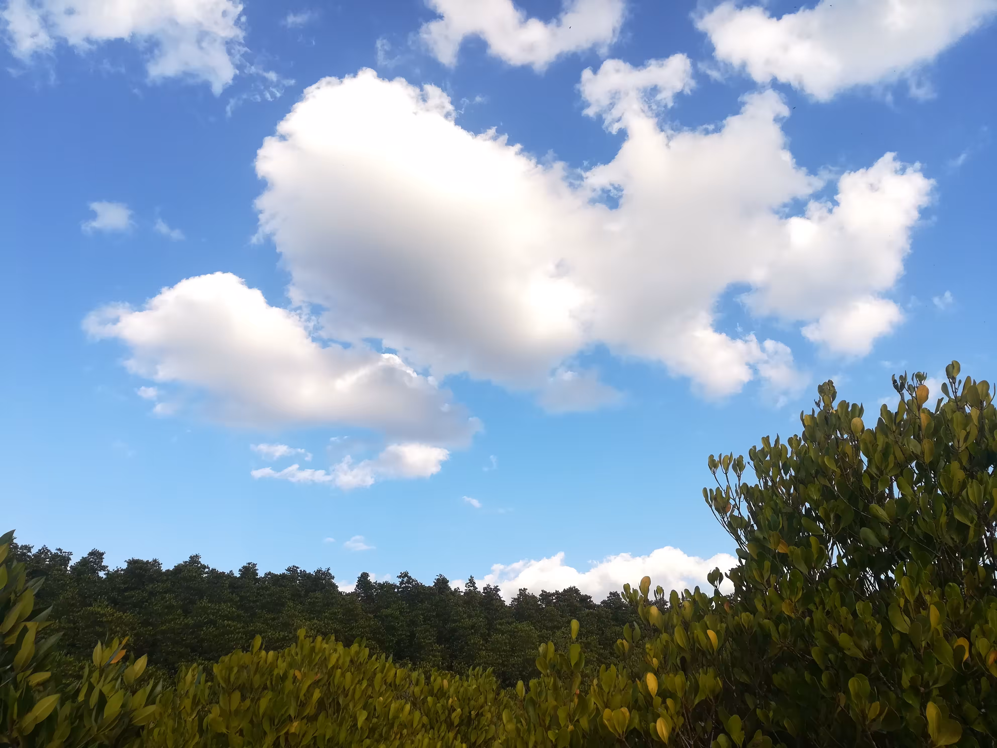 Cloud Collections : No.001