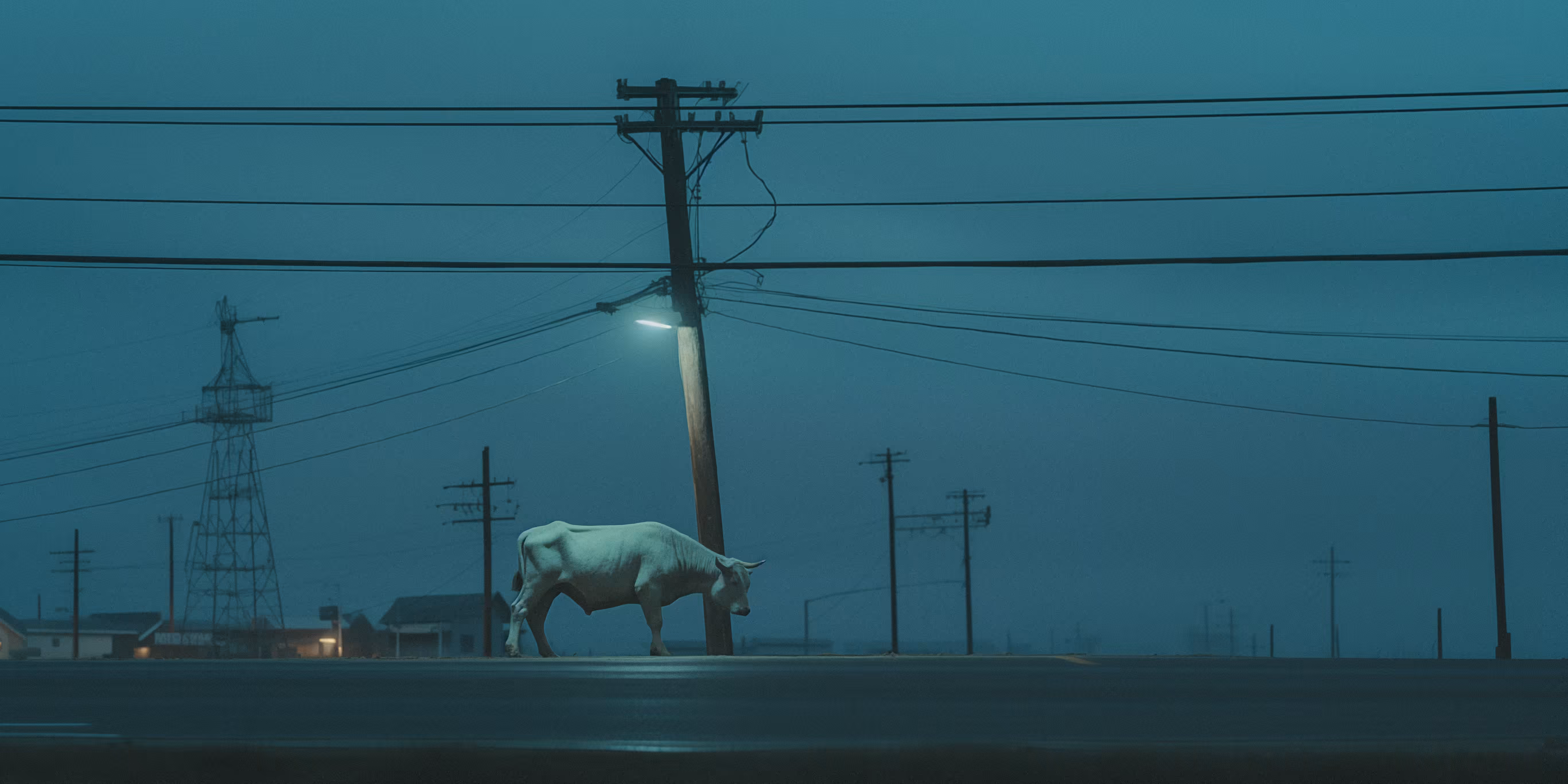 the Bull