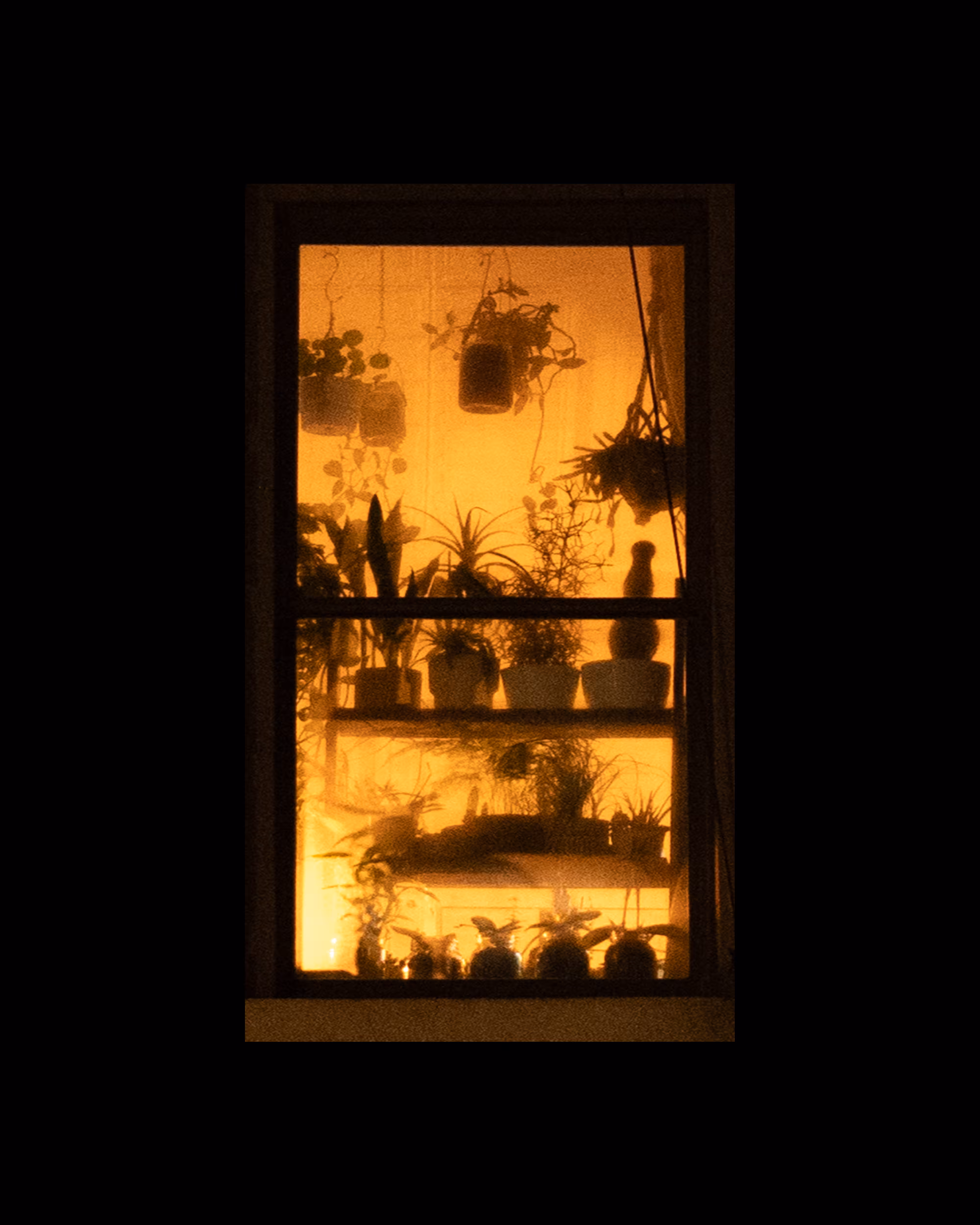 WINDOW 385