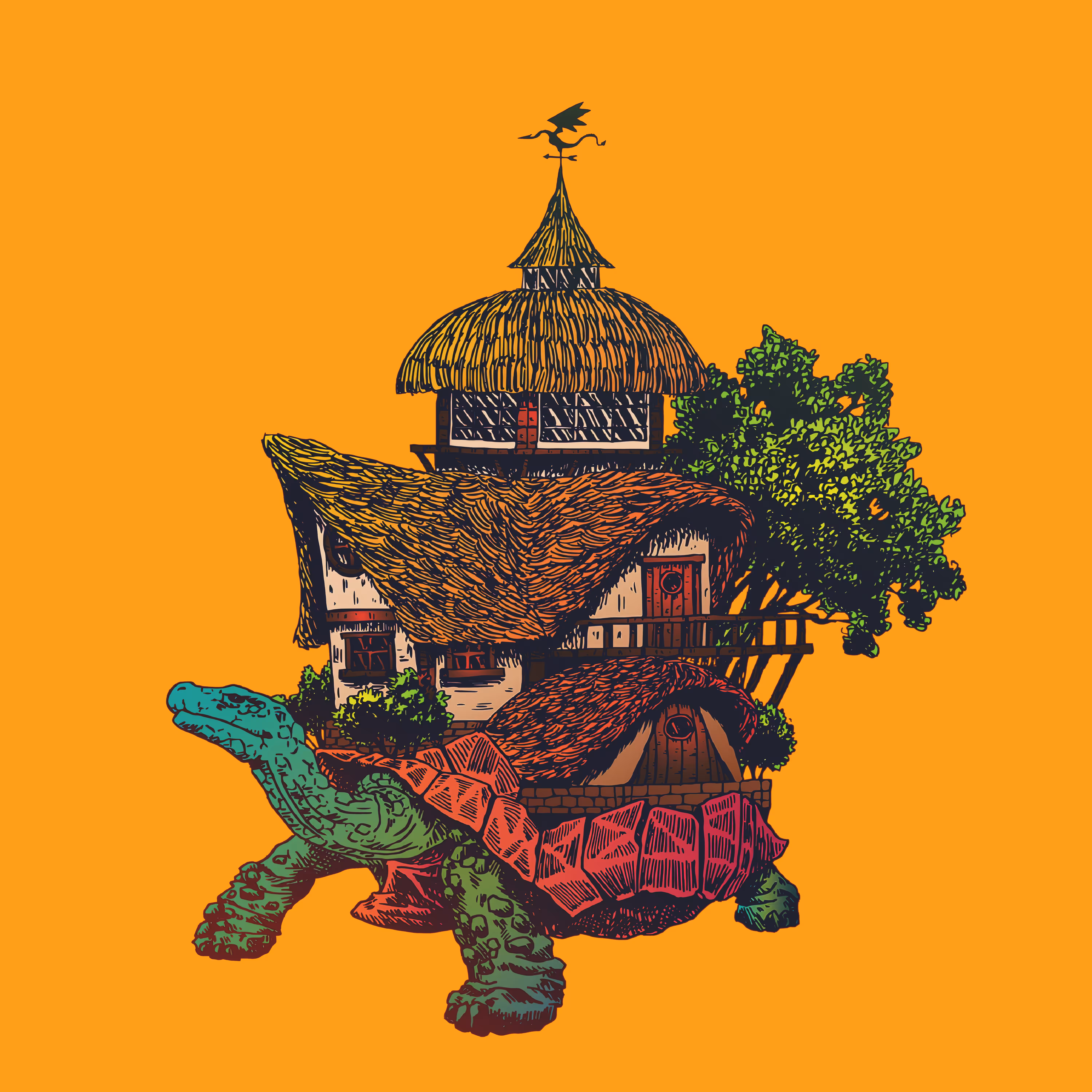 Houseback Tortoise