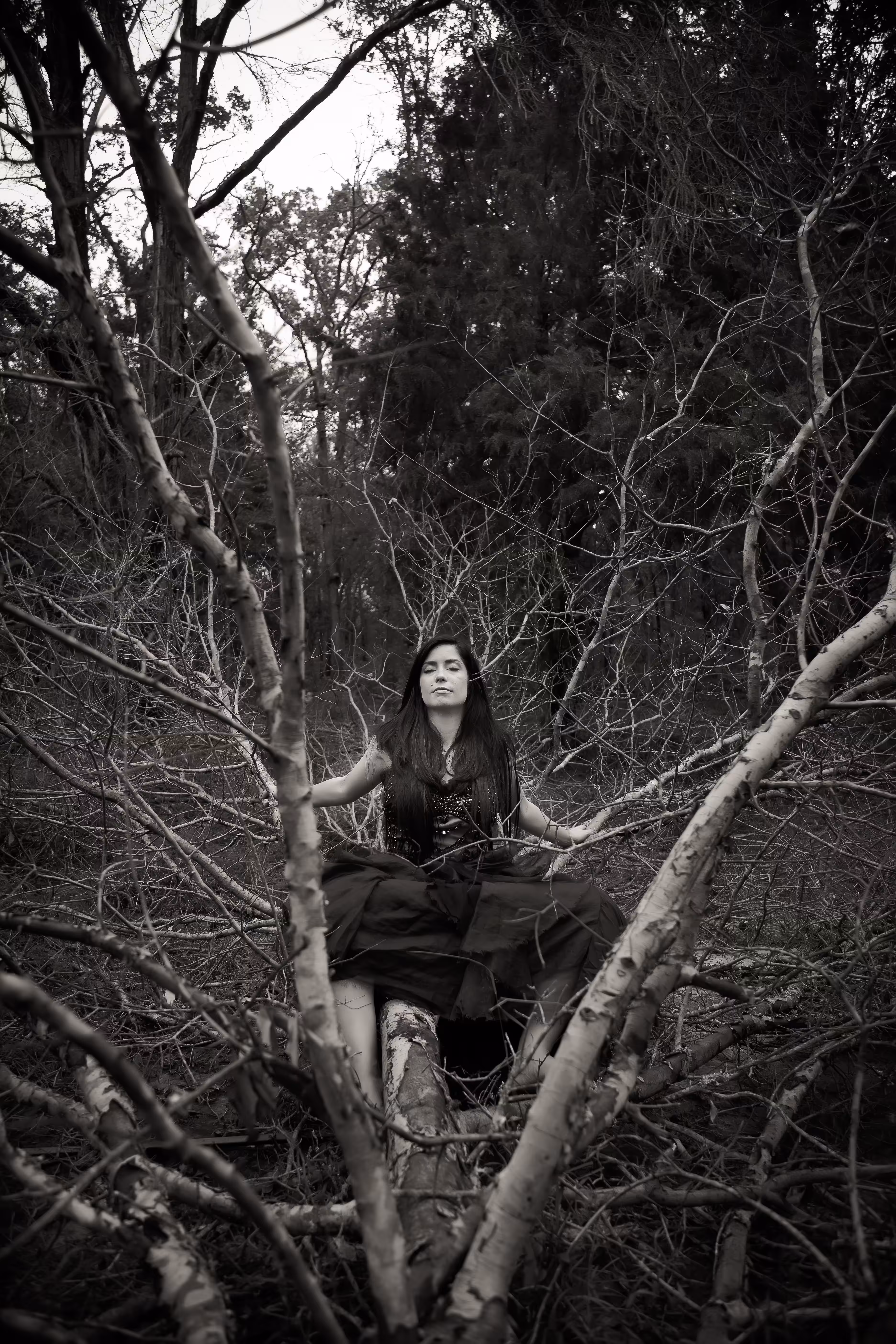 Among the Branches