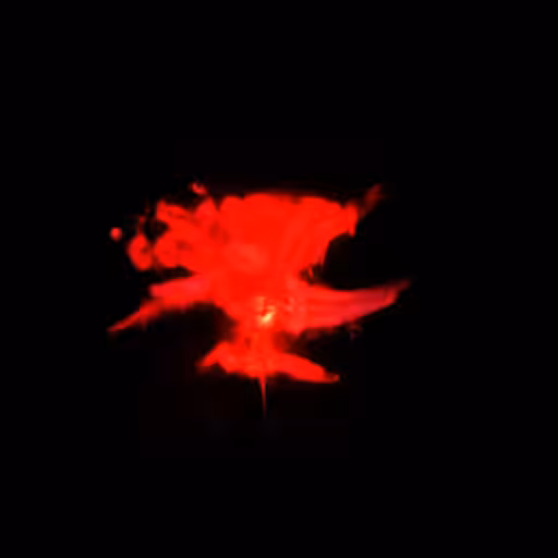 ɹǝqqnlɟ