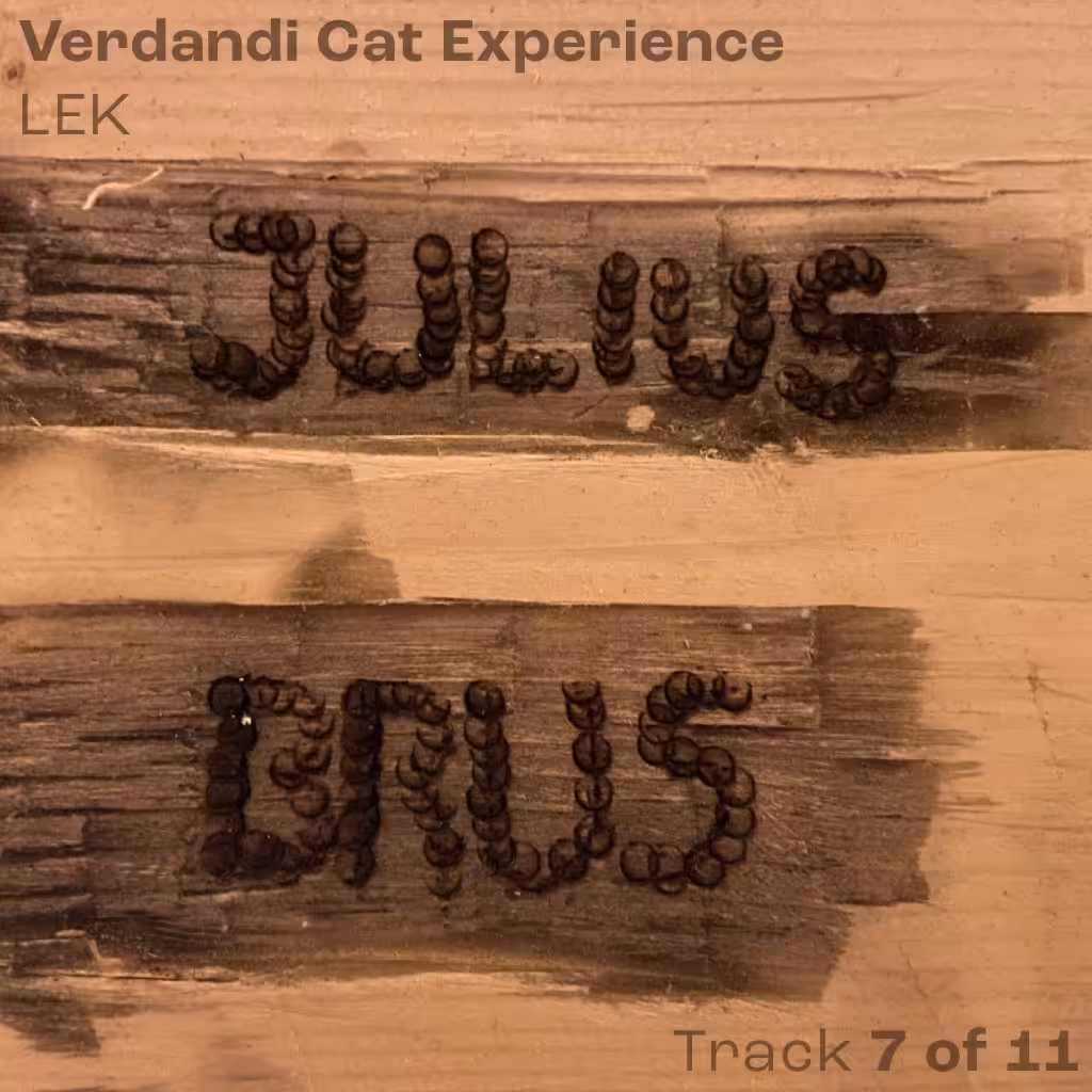 Verdandi Cat Experience