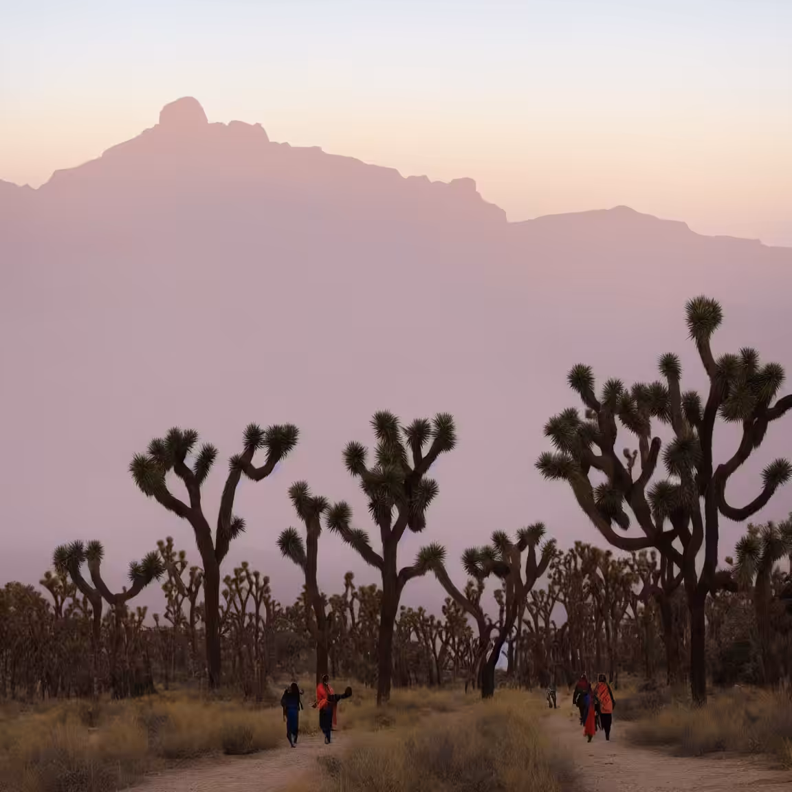 Desert Pilgrimage #64