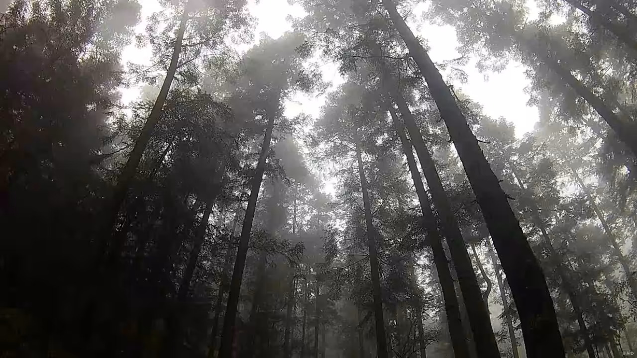 Mountains