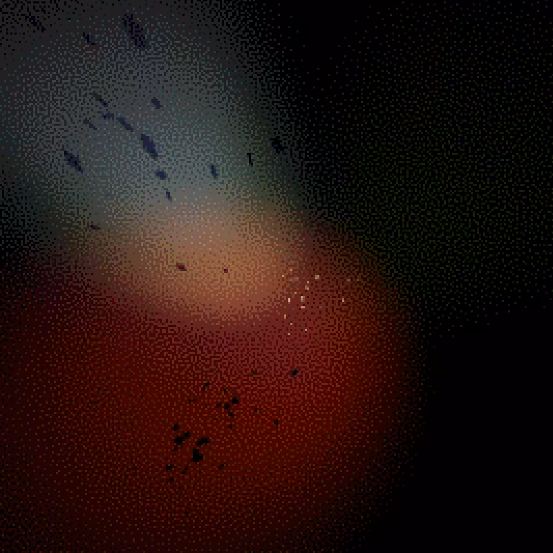 Moths #21