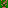 Yorkie