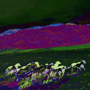 The dreamlike plain of horses