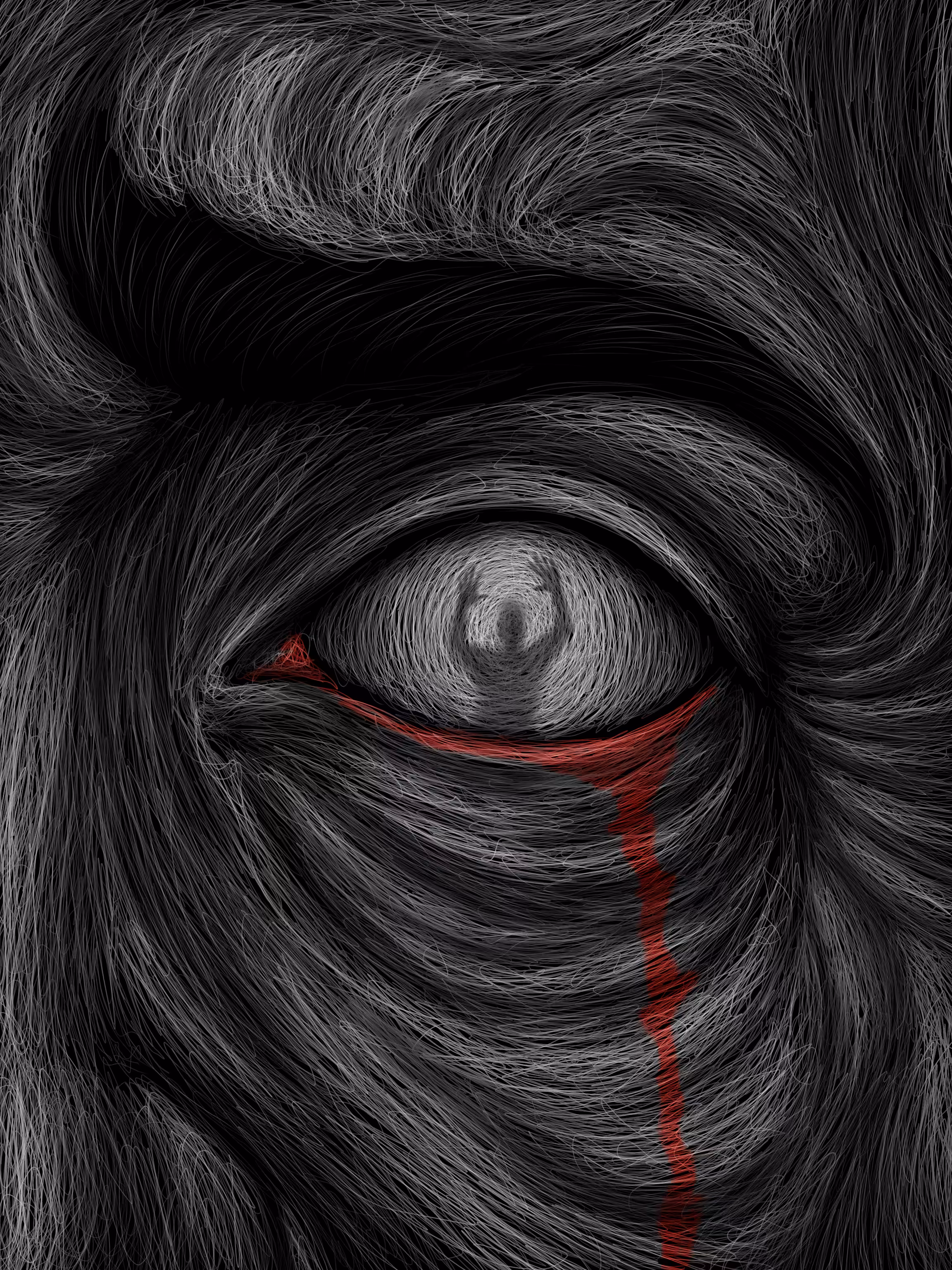 The Watcher