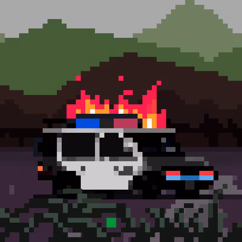 NO ROADMAP #247