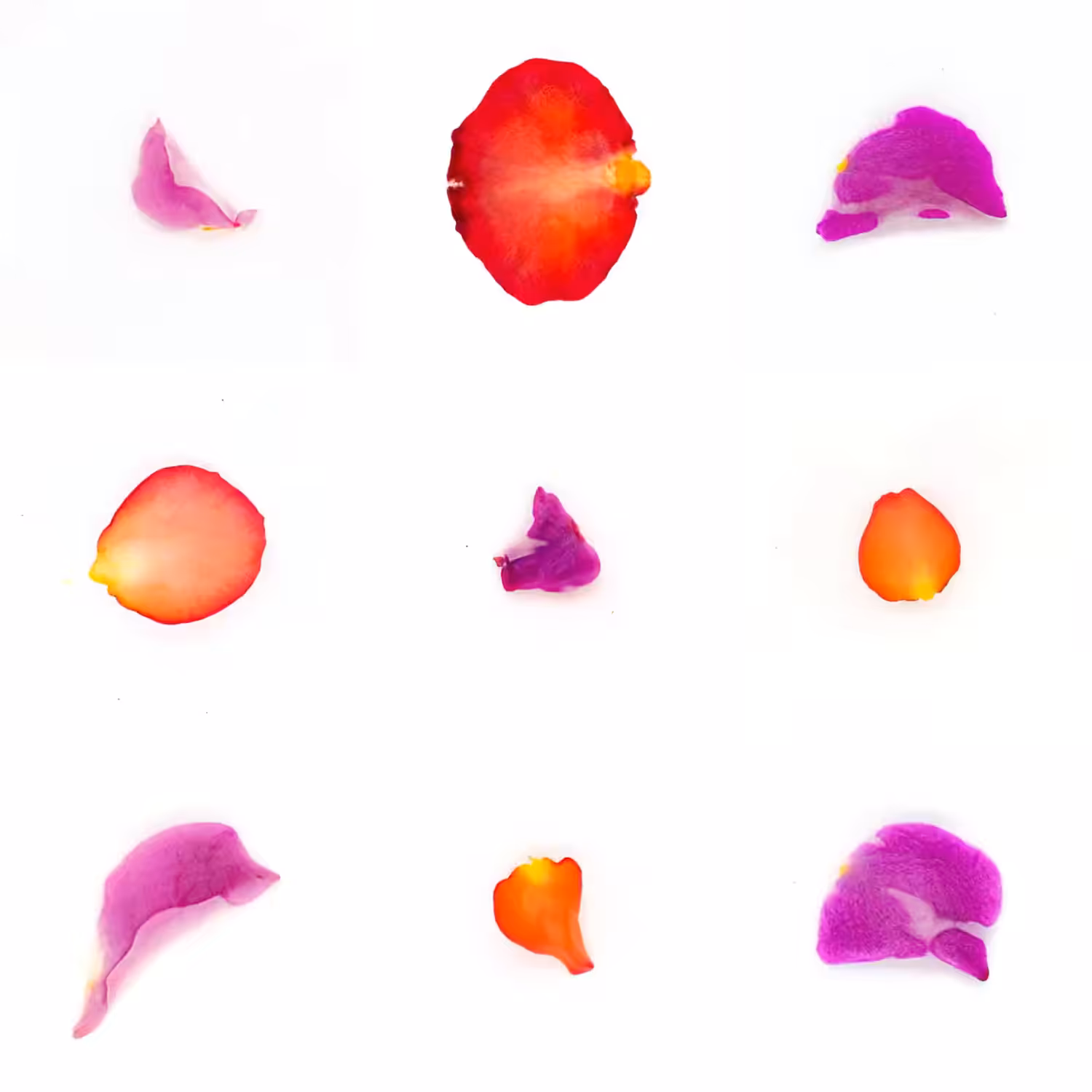 Infinite Petals 3x3#1160