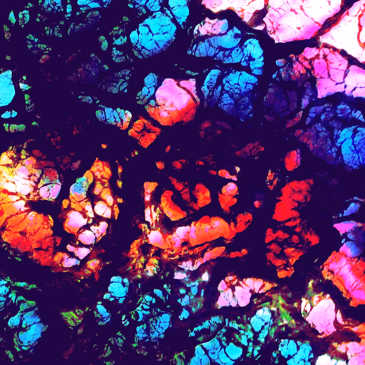 Fluid Color
