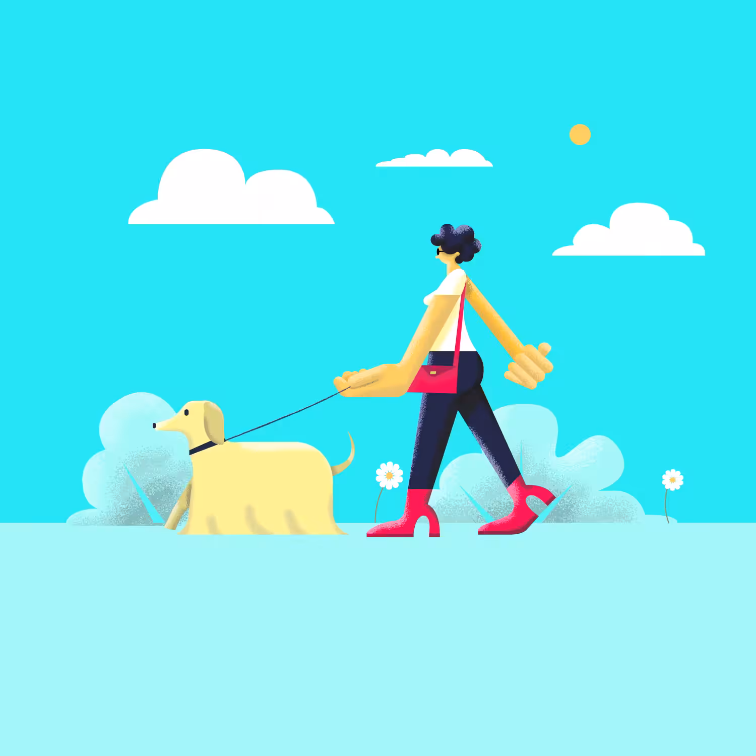 Walk your Dog - Afghan Hound