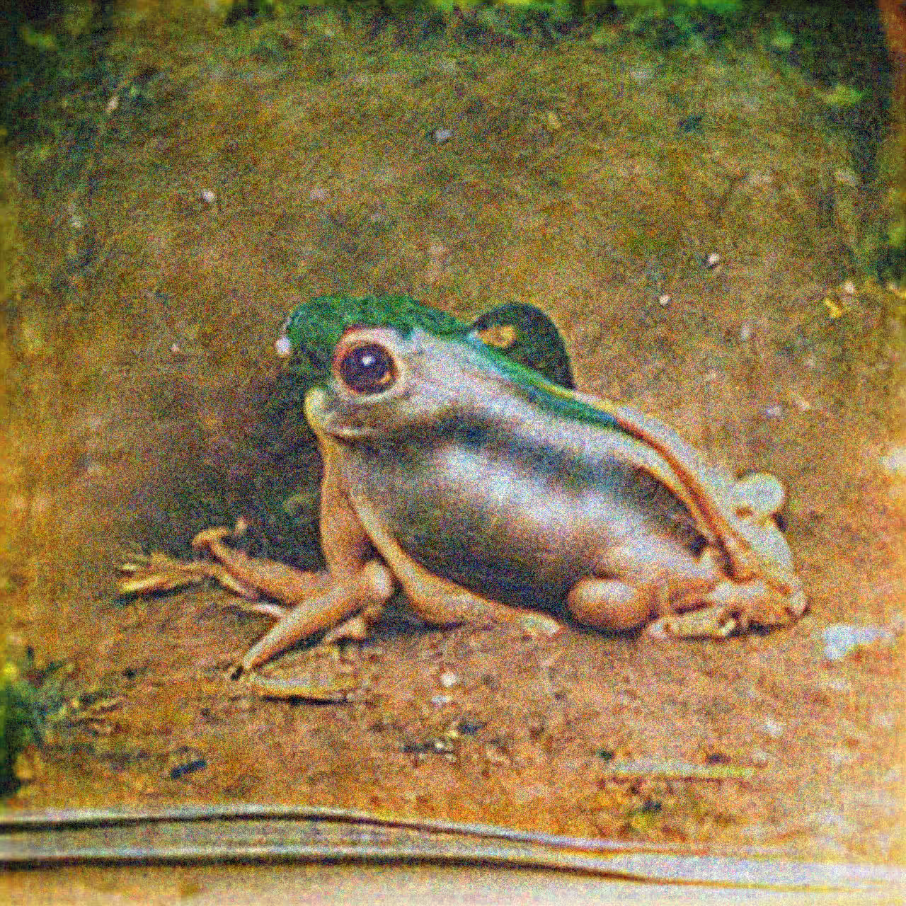 Title 04