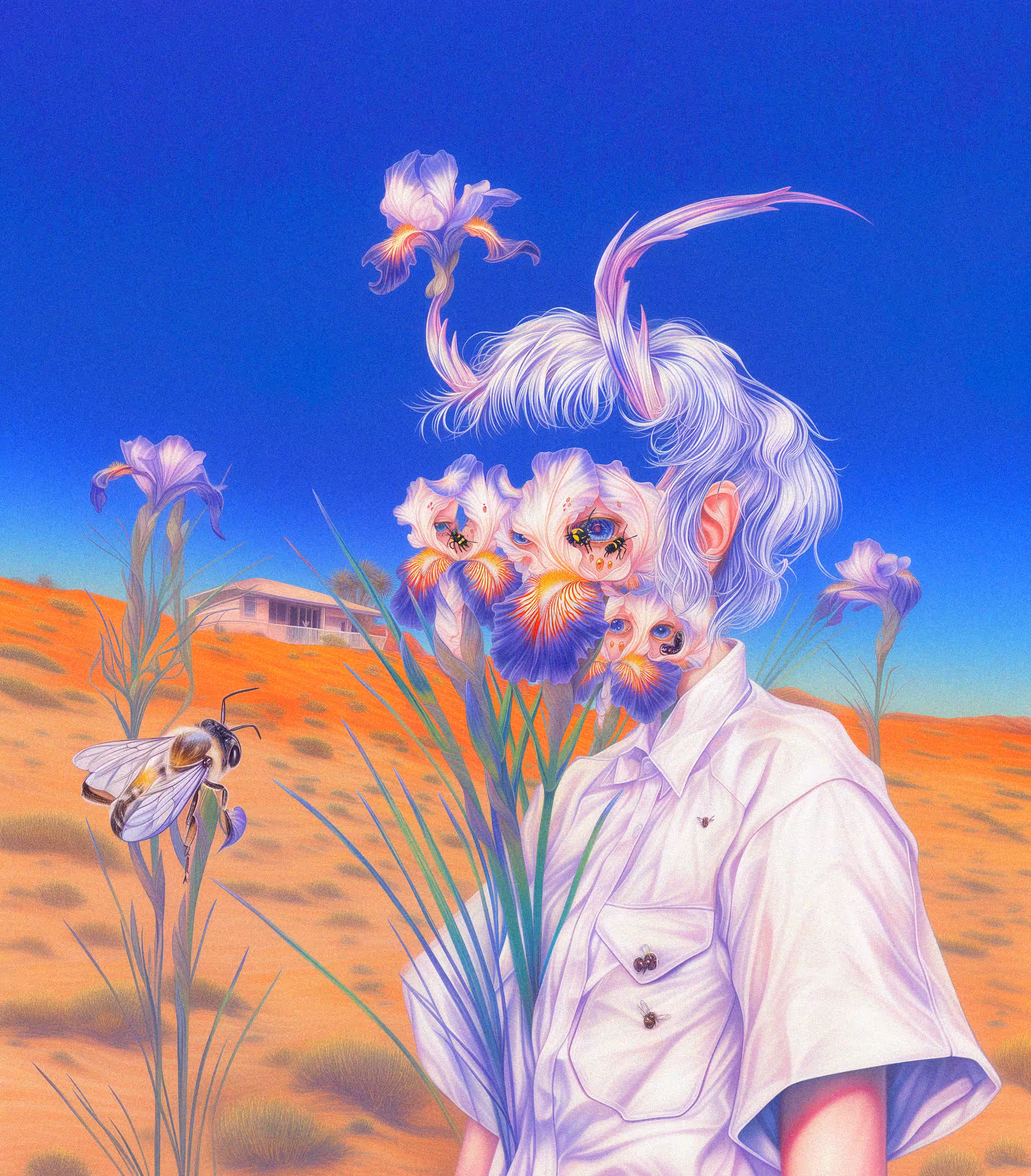 Dunes in Bloom