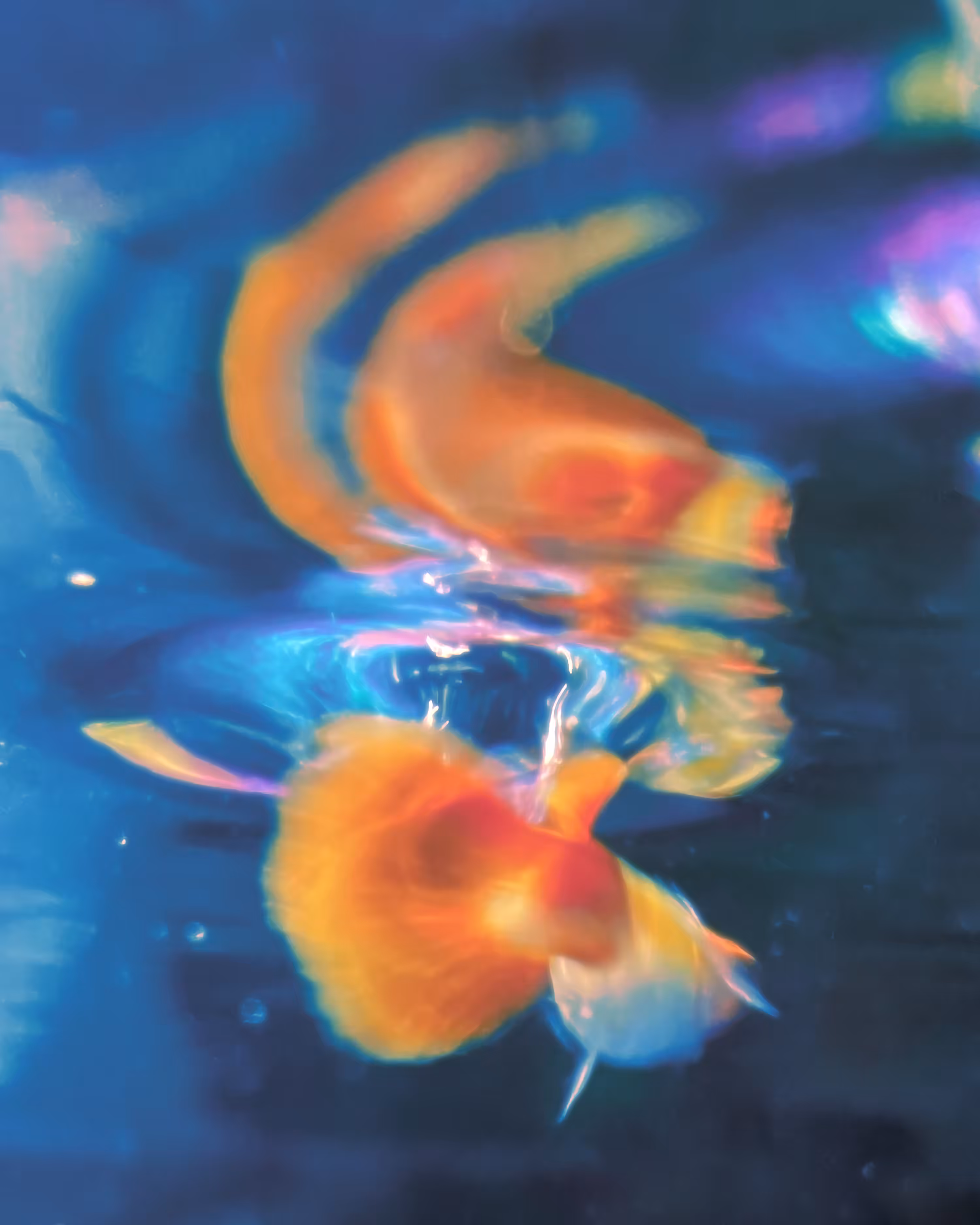 Swim Against The Tide