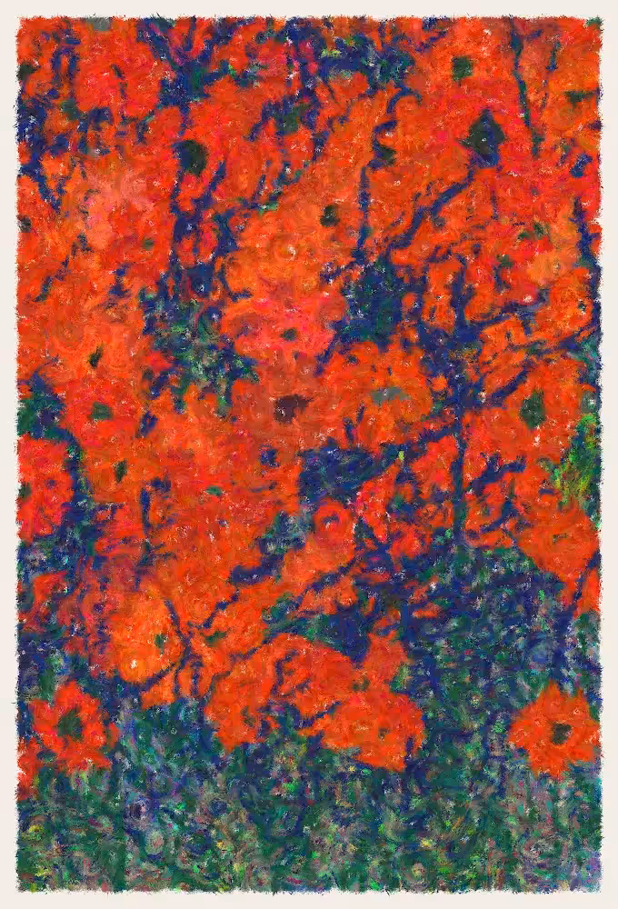 Blooms #95
