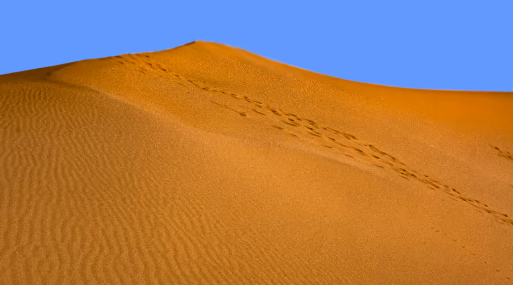 desert