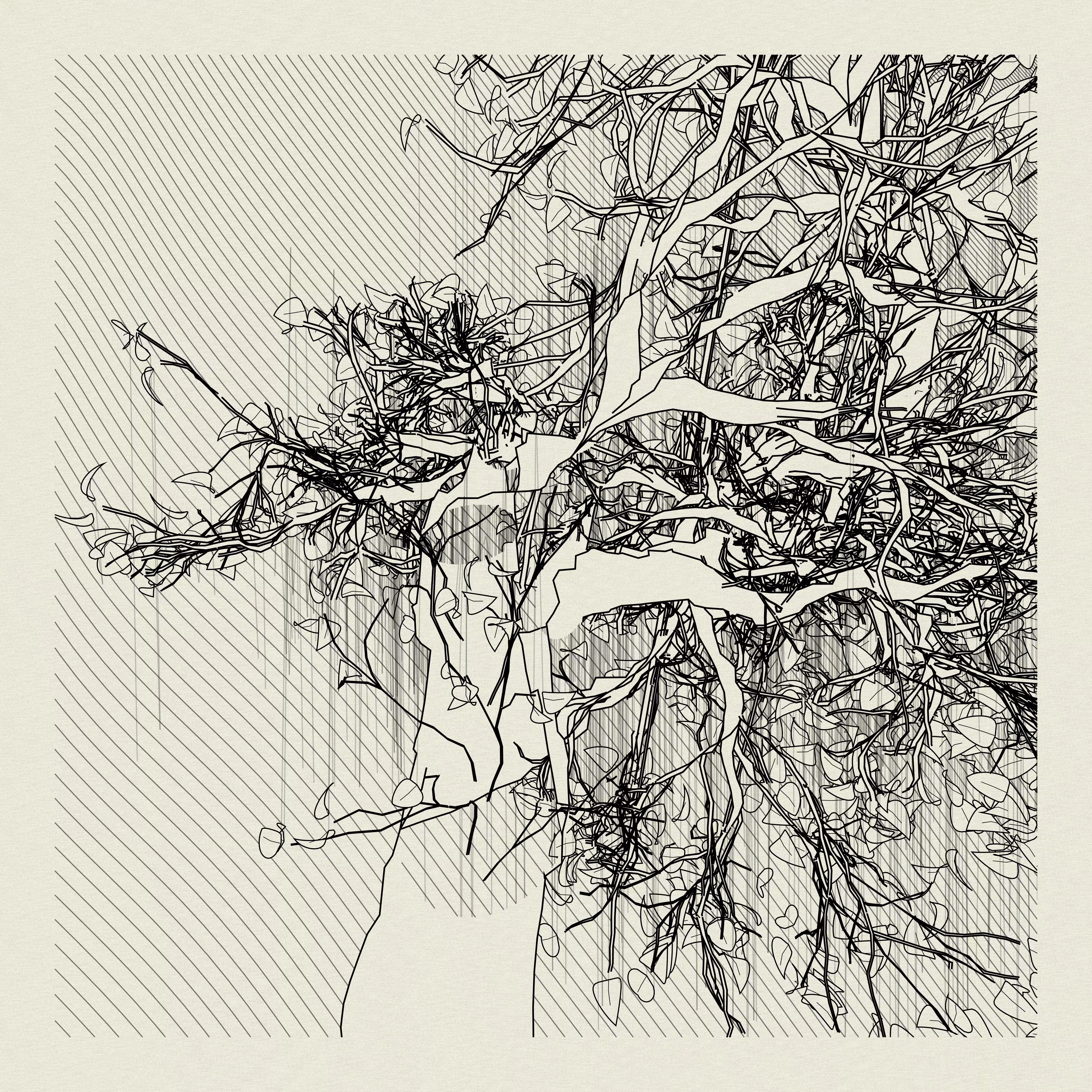 A Bugged Forest #879