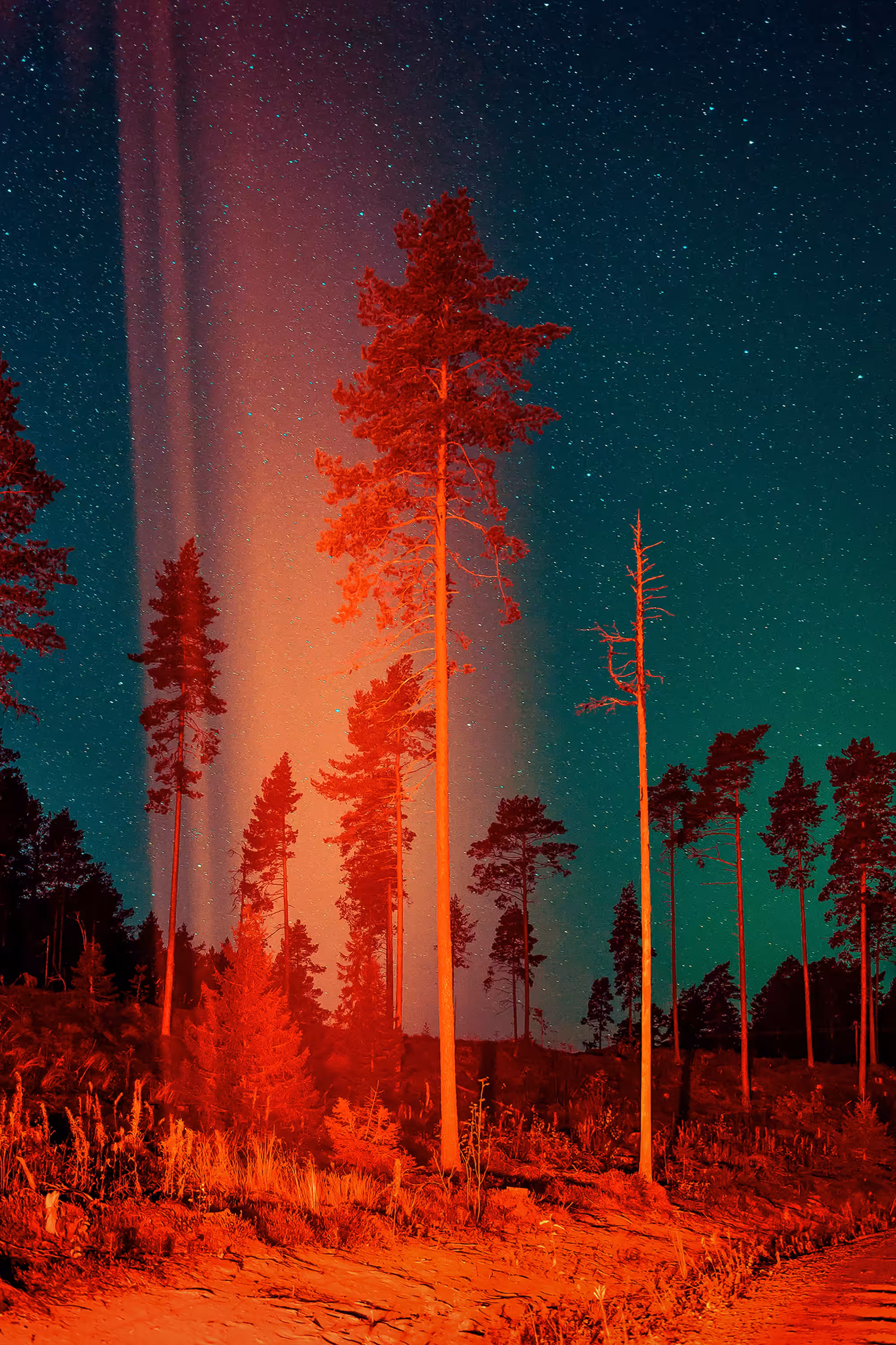 Heavenly Fire #1