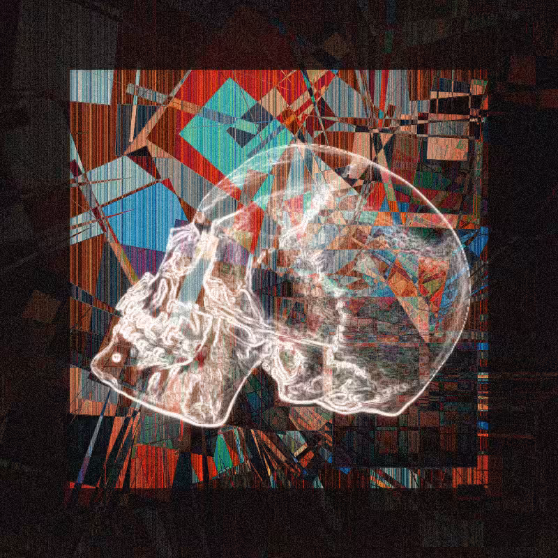 X-ray of a skull #12