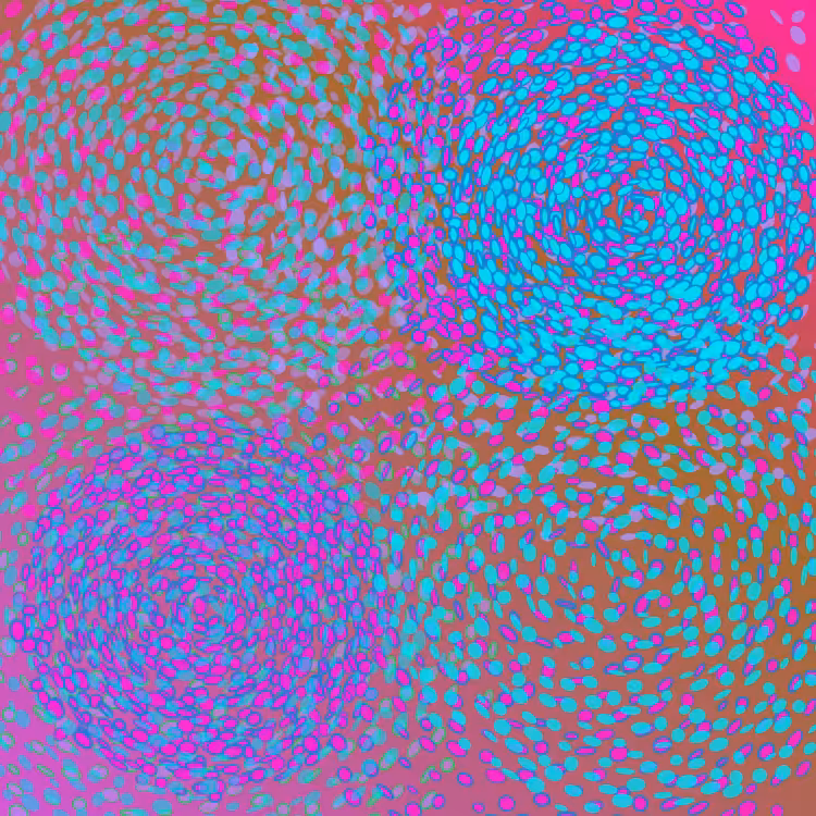 PhyllotacticGalaxies #15