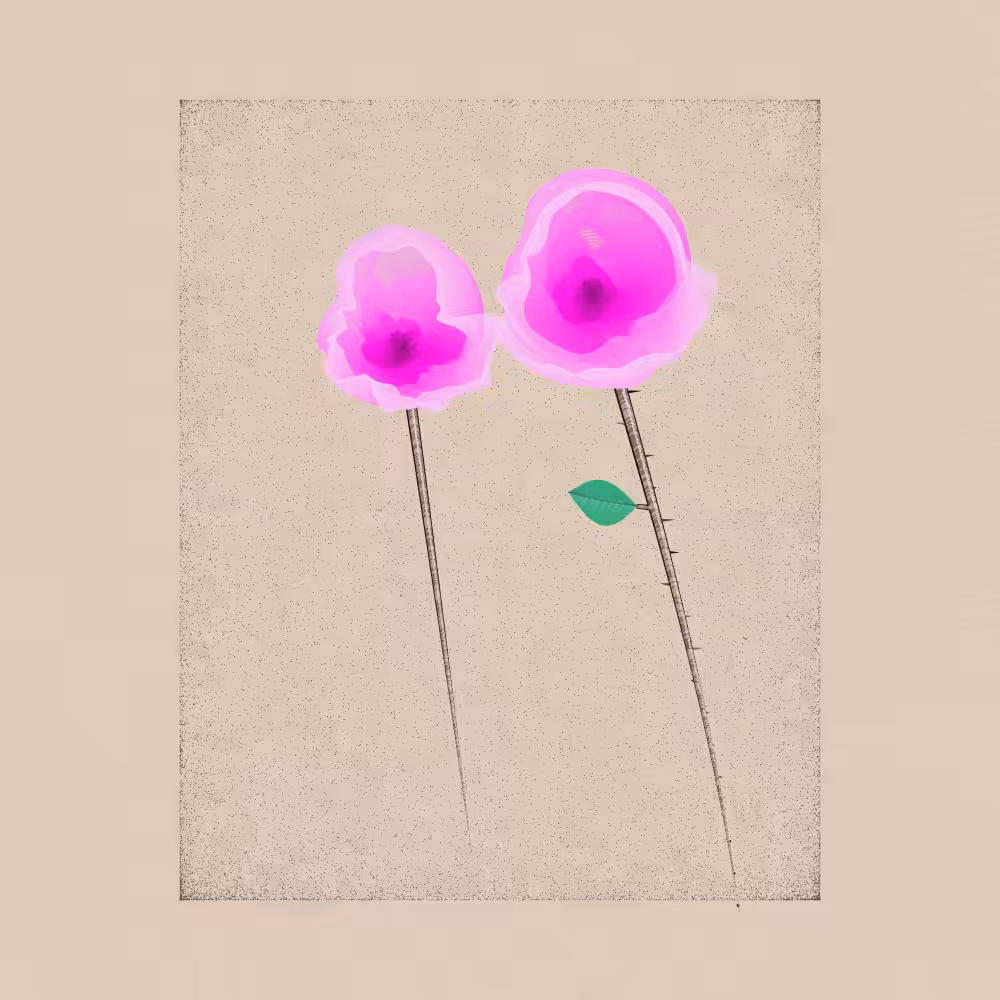 Magnolia #33