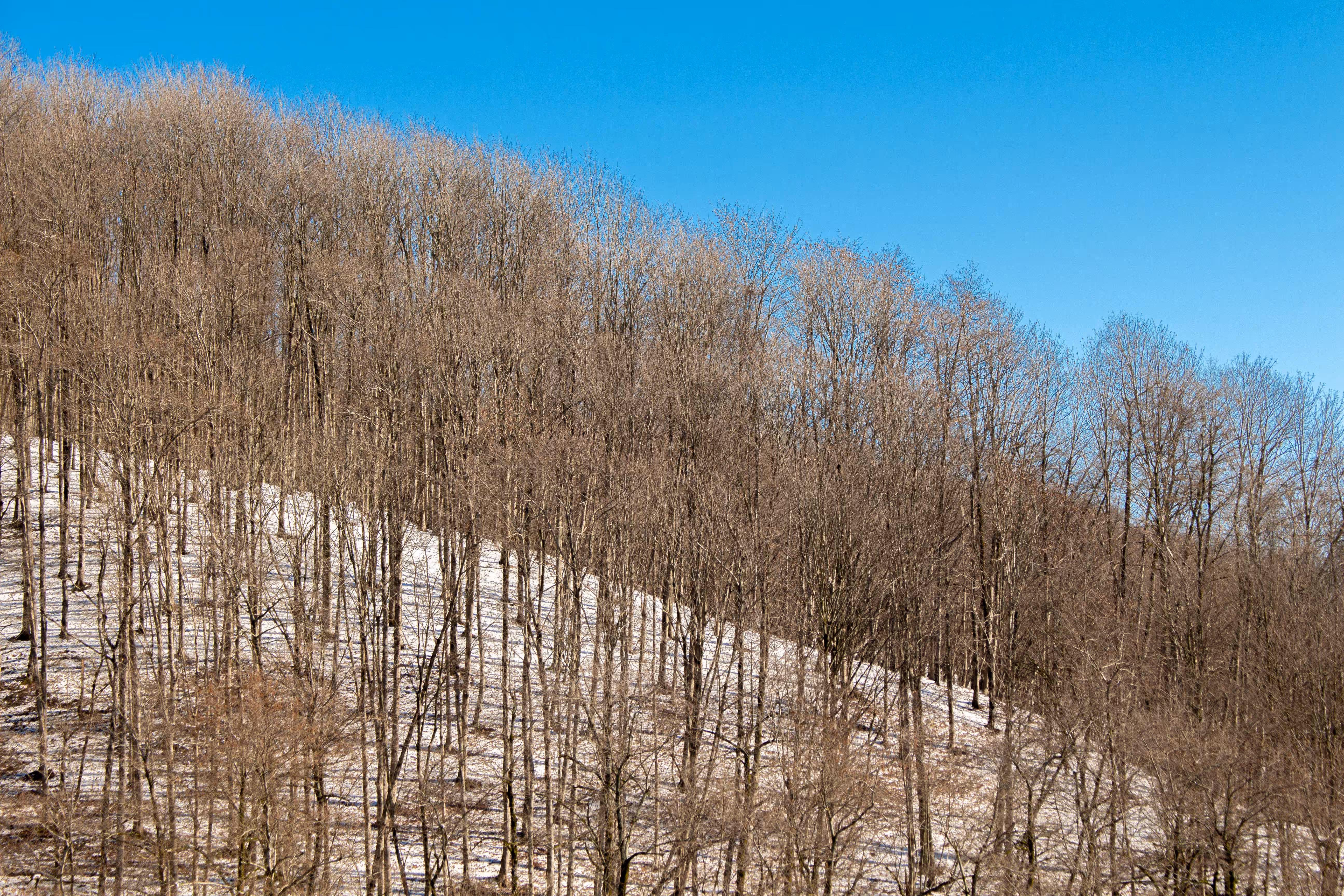Colorful nature: Blue sky and white earth