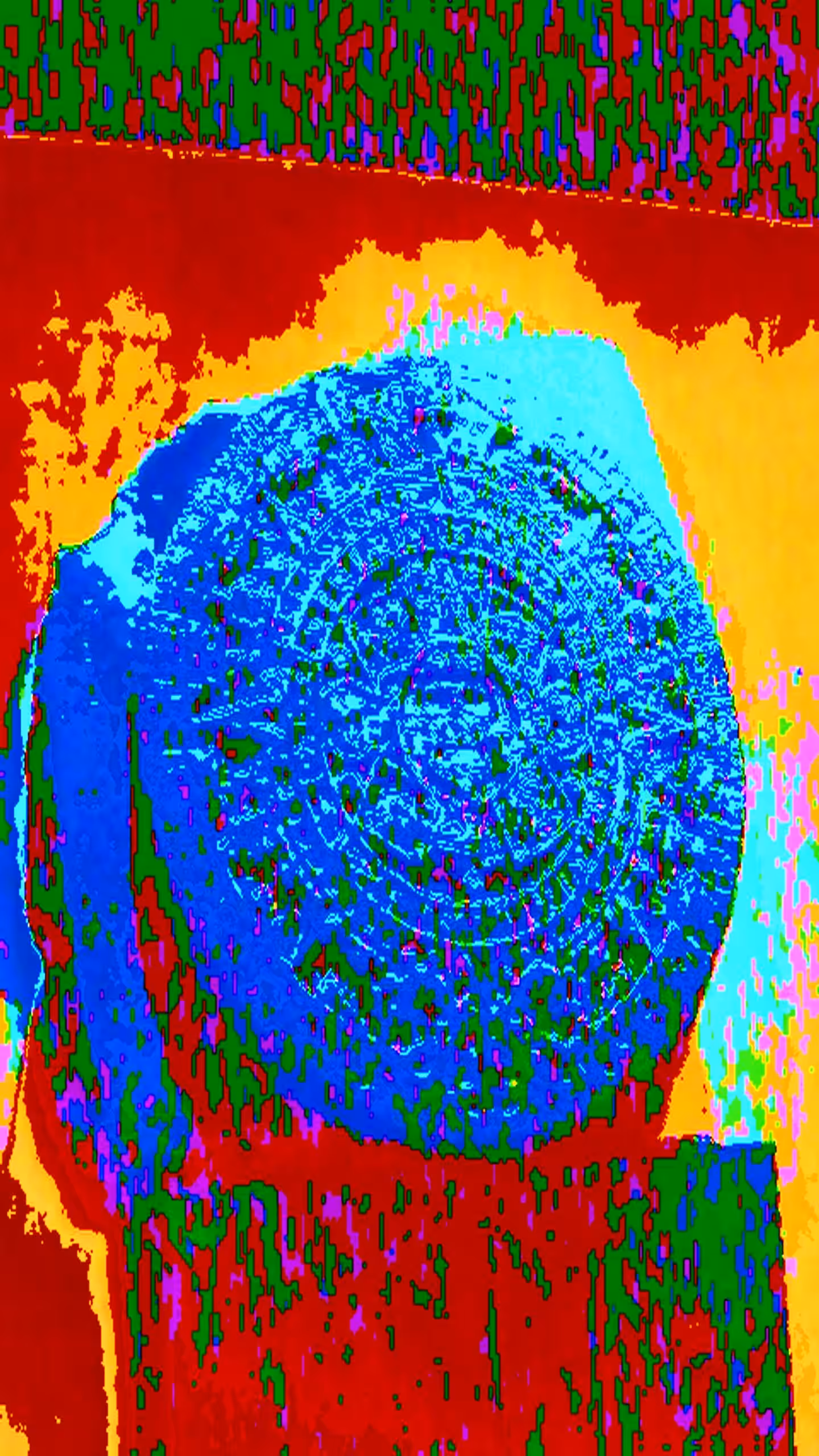 Piedra del Sol (Mutant Glitches Portrait)