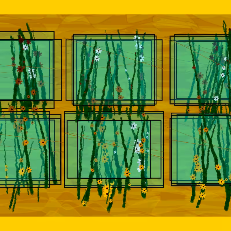 Flower Boxes #5