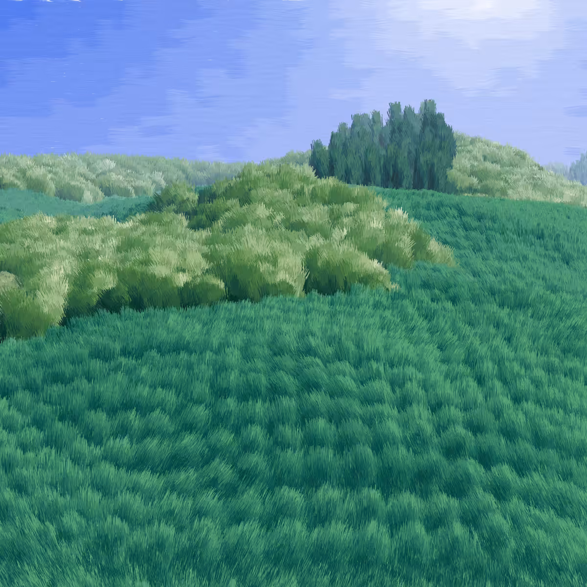 Provence #246