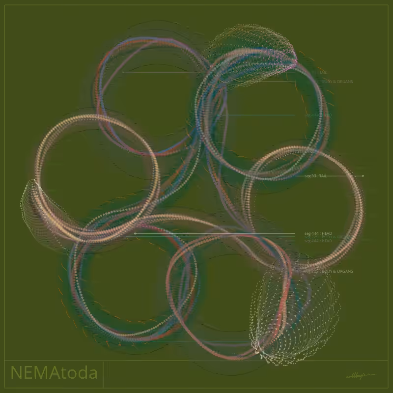 NEMA #52
