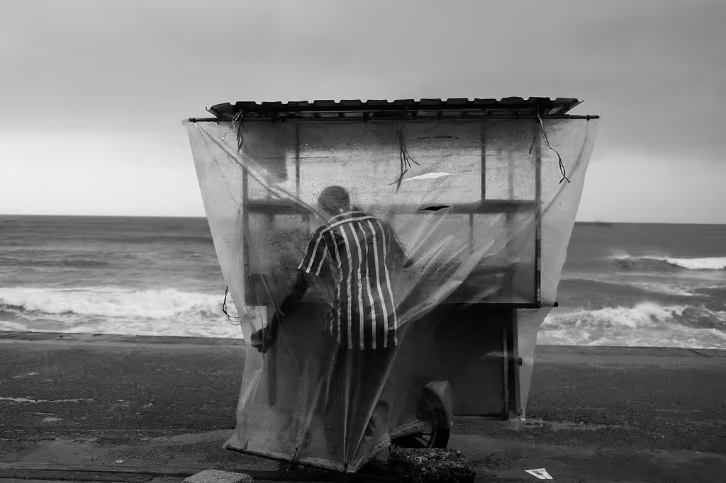 The Glimpse of Life: A glimpse of life #2