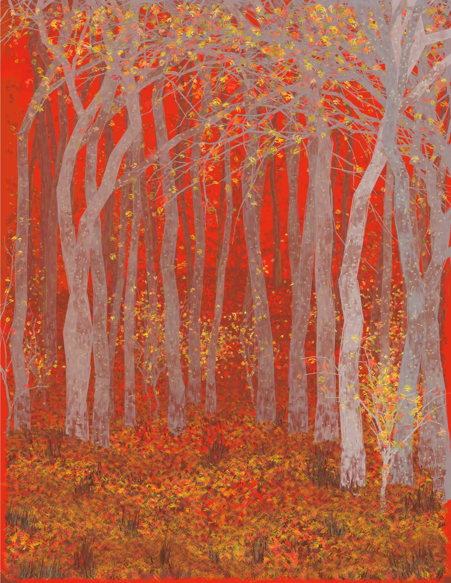Deep Forest #301