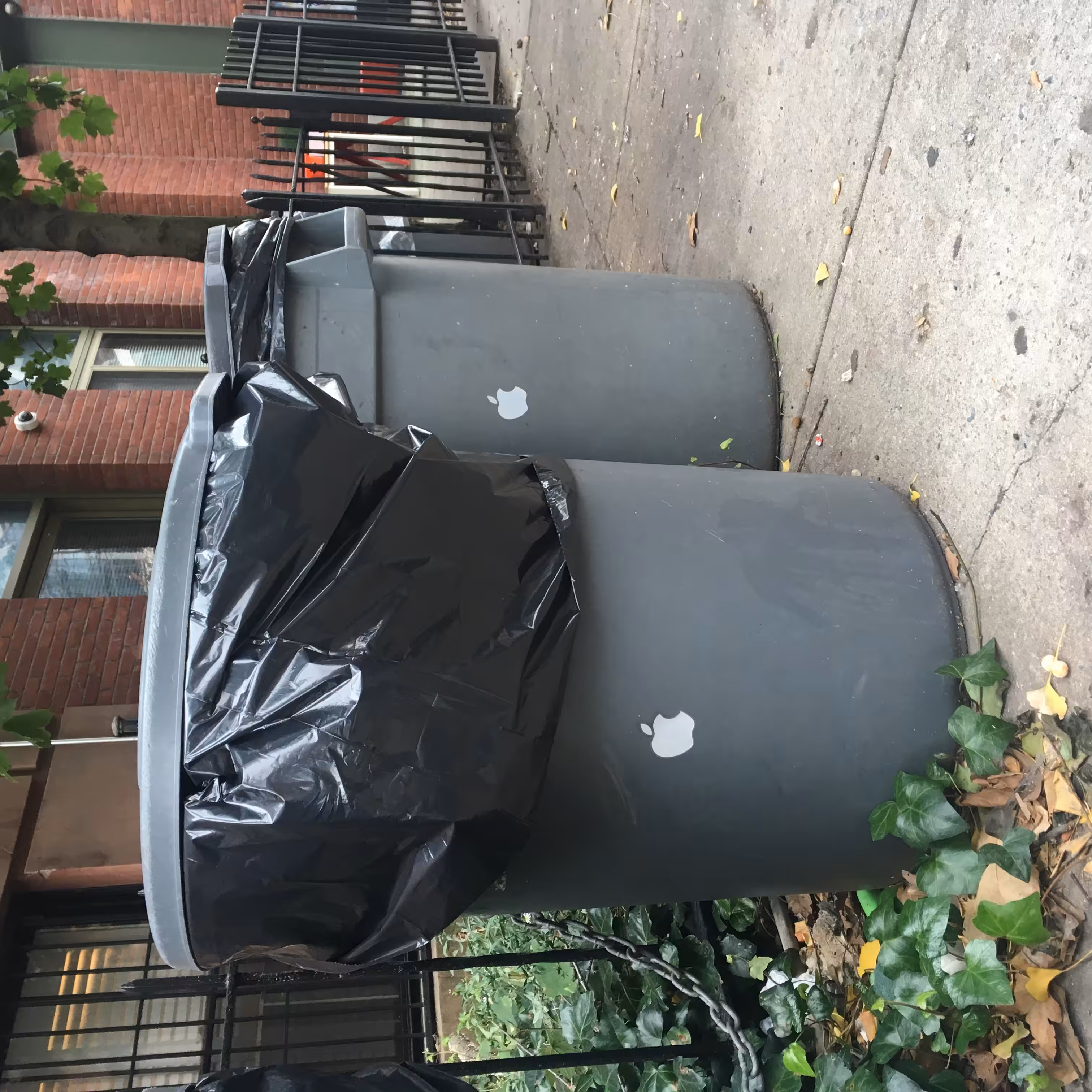 Rodeo posts: 🍎🗑️🍏